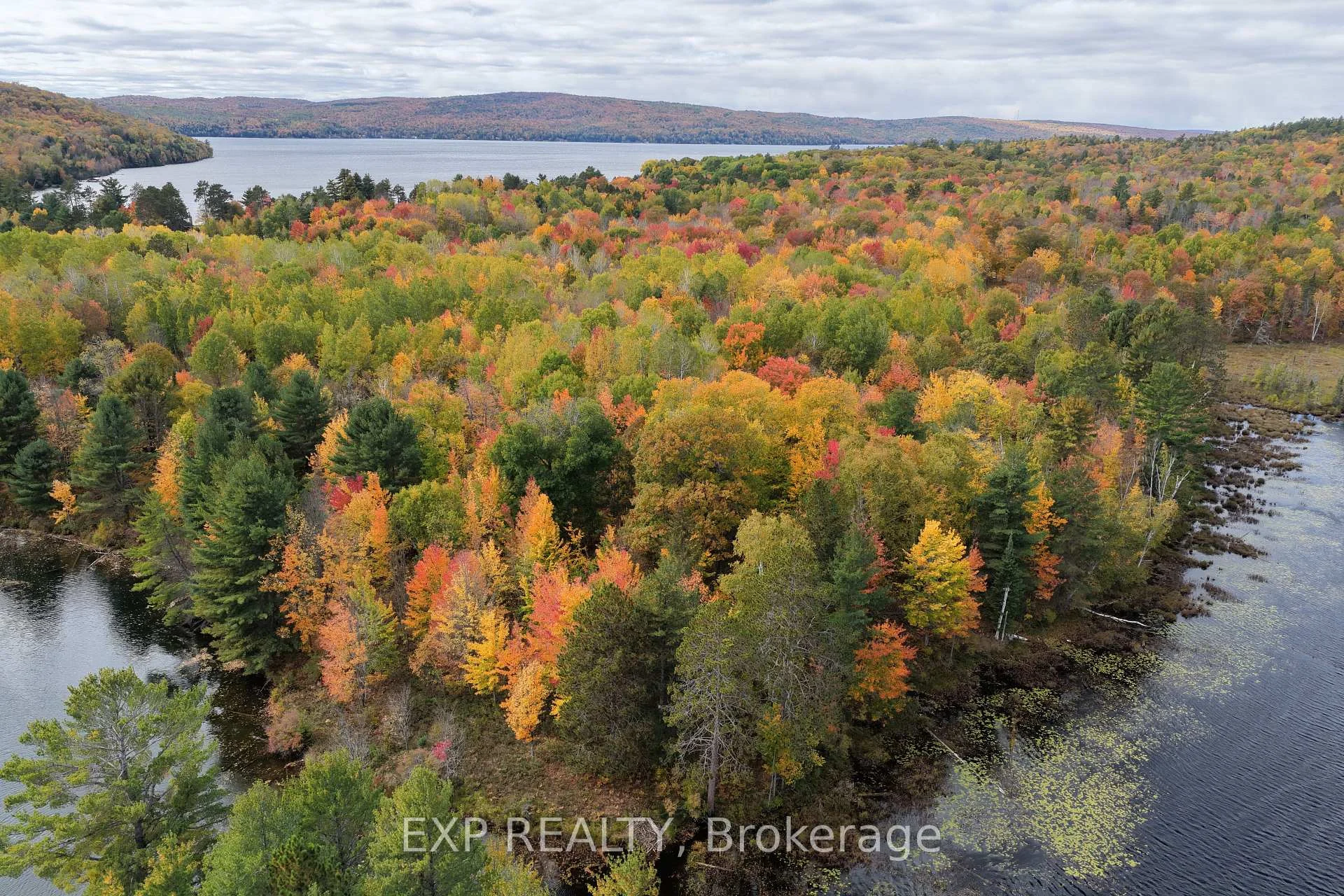 Front of Lot 9 Casson Trail