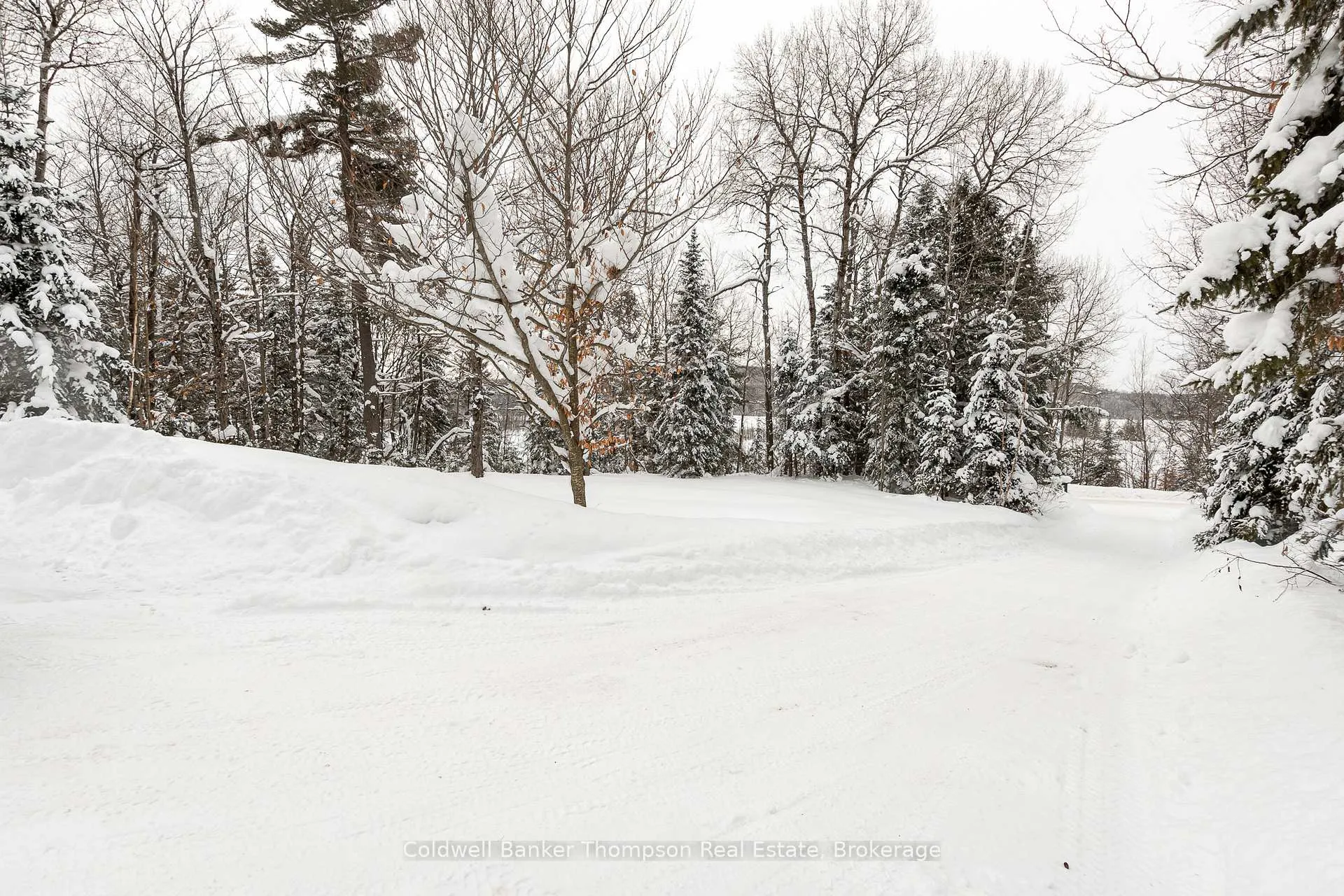 Photo 34 of 311 Station Road, Perry, Scotia — HOMEH