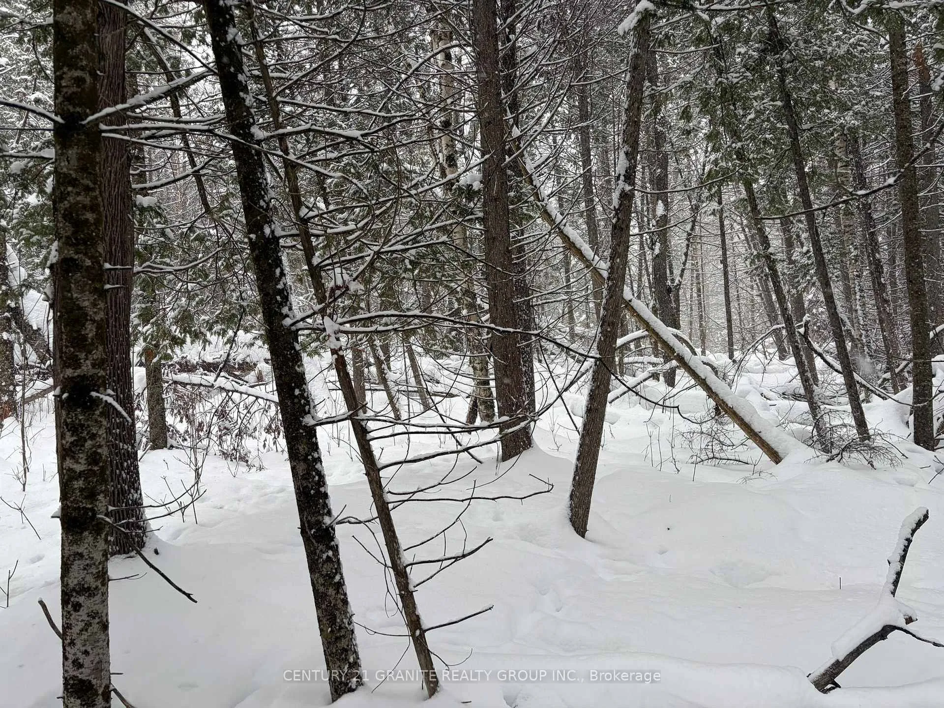 Photo 3 of Old Hastings Road, Bancroft, Bancroft Ward — HOMEH