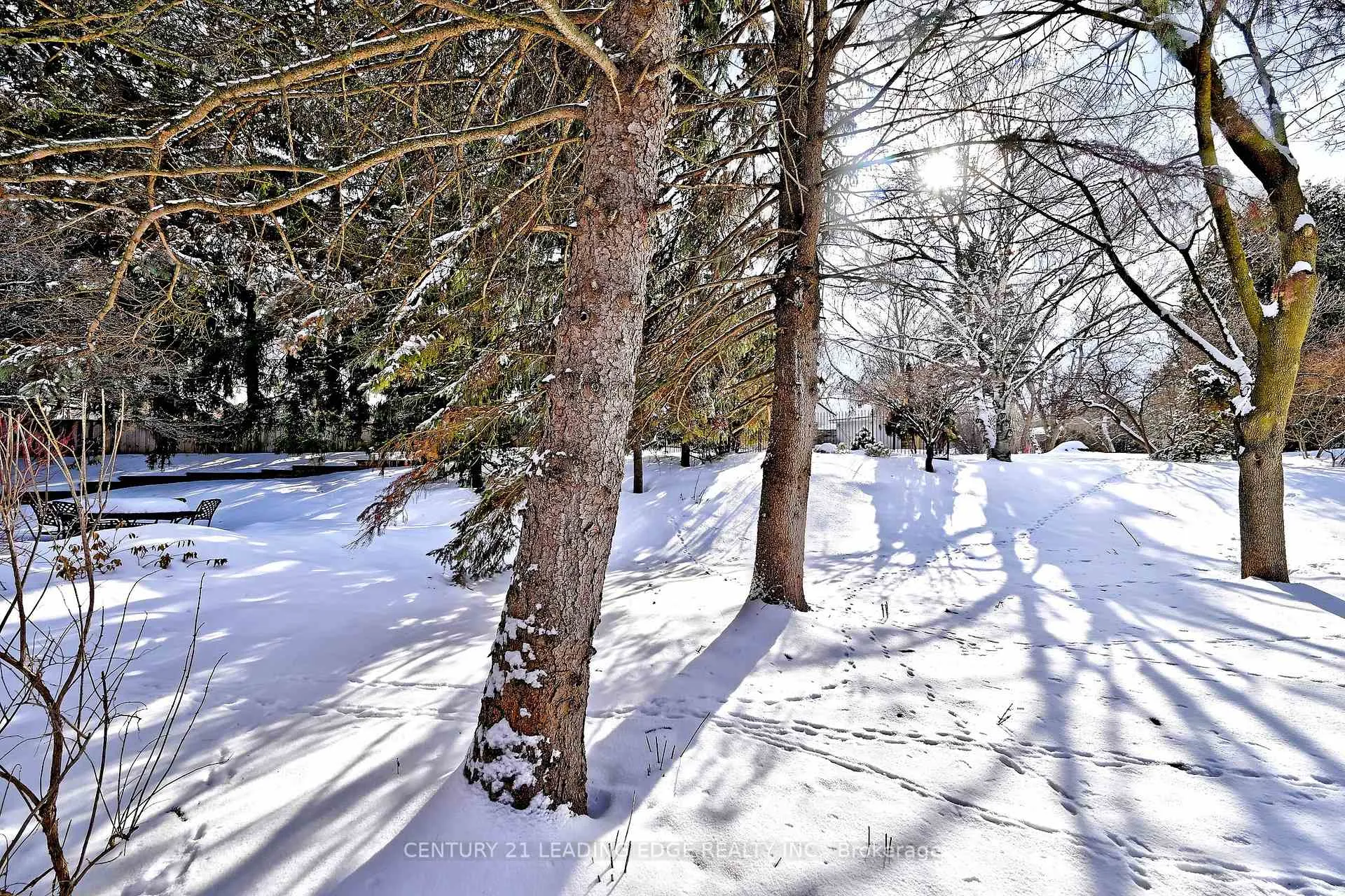 Photo 44 of 23 Hare Court, Markham, Old Markham Village — HOMEH