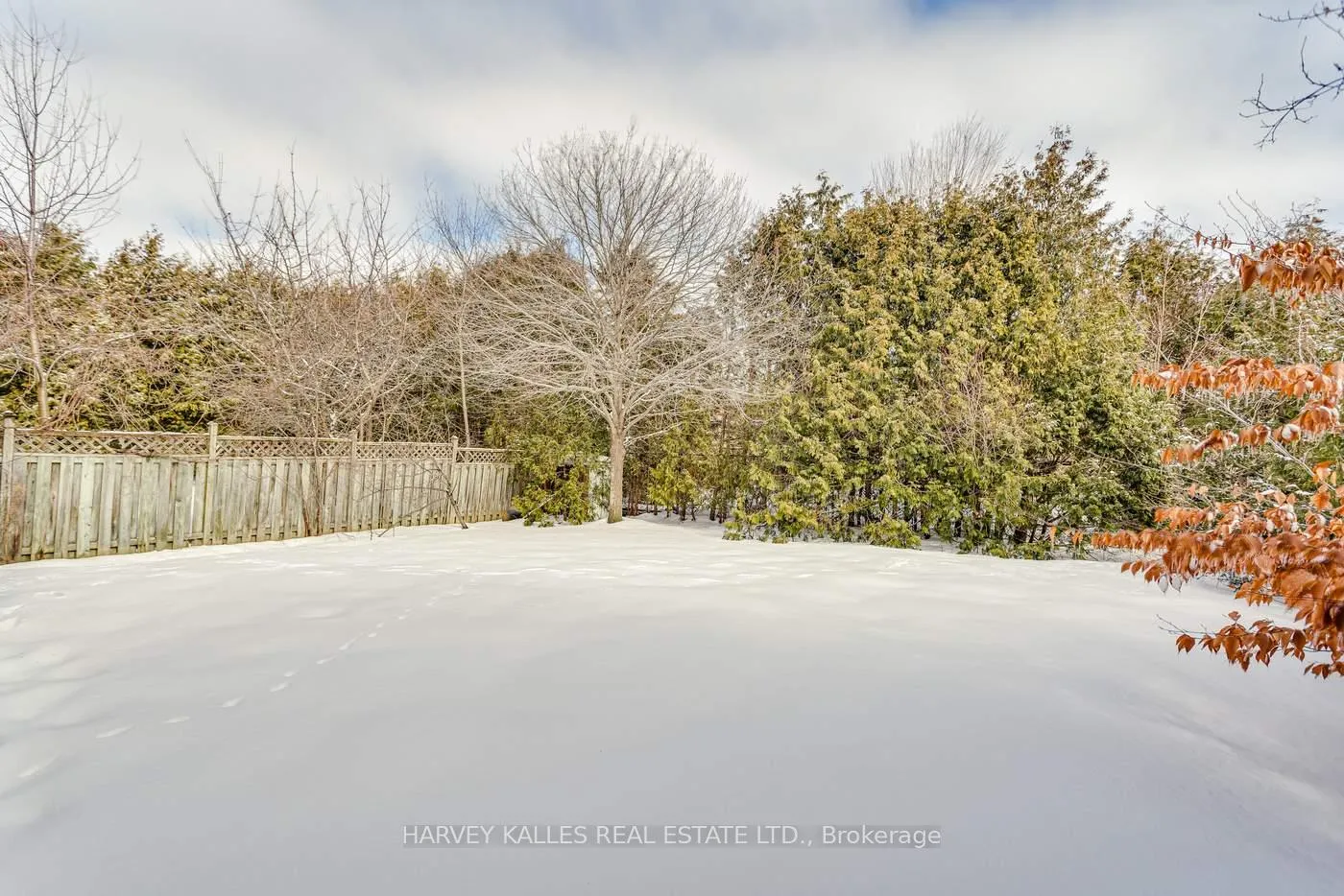 Photo 49 of 145 Franklin Avenue, Vaughan, Crestwood-Springfarm-Yorkhill — HOMEH