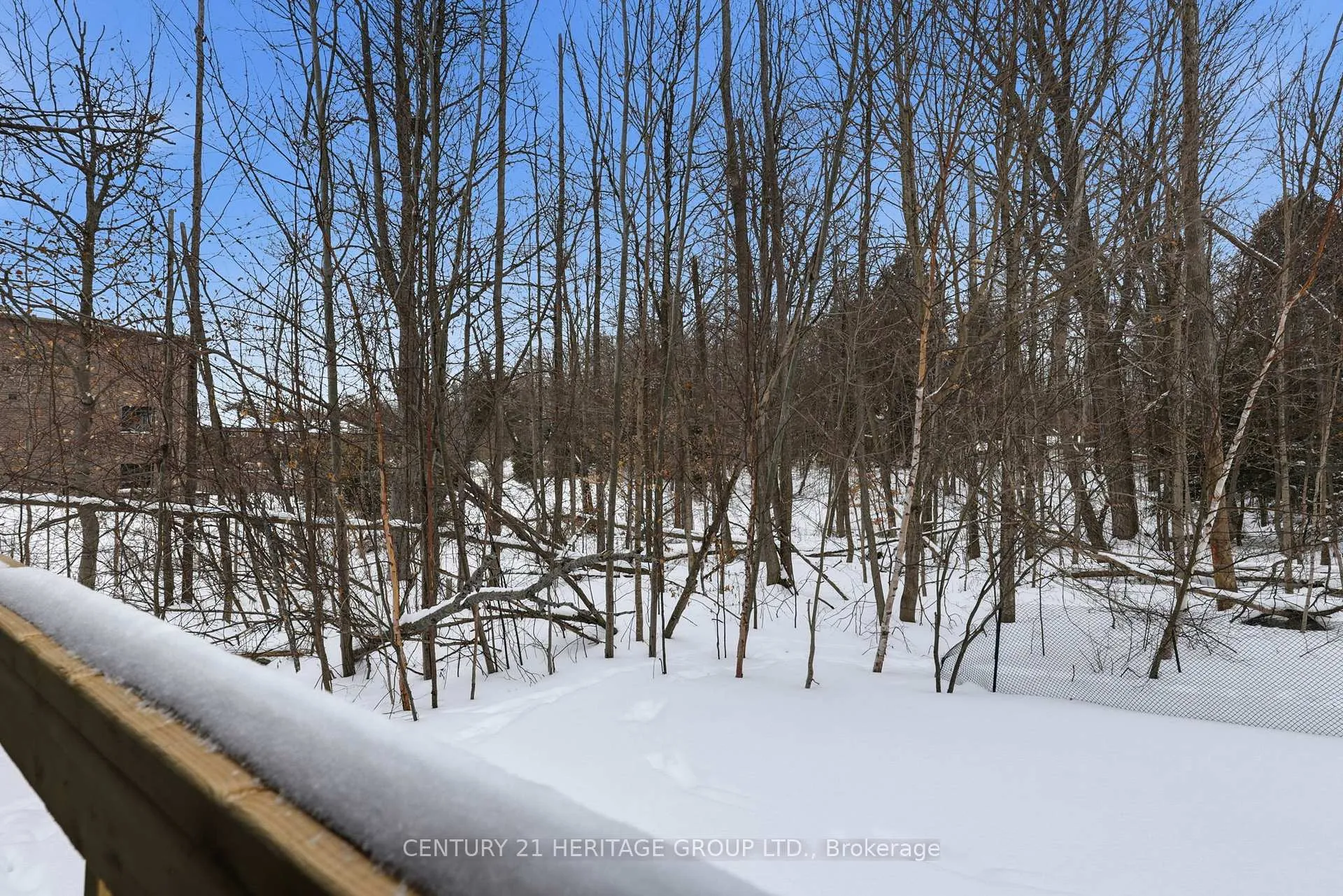 Photo 32 of 8 Scotia Road, Georgina, Sutton & Jackson's Point — HOMEH