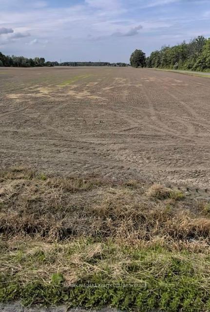 Photo 2 of PT 24 Crown Road, West Lincoln, Bismark/Wellandport — HOMEH