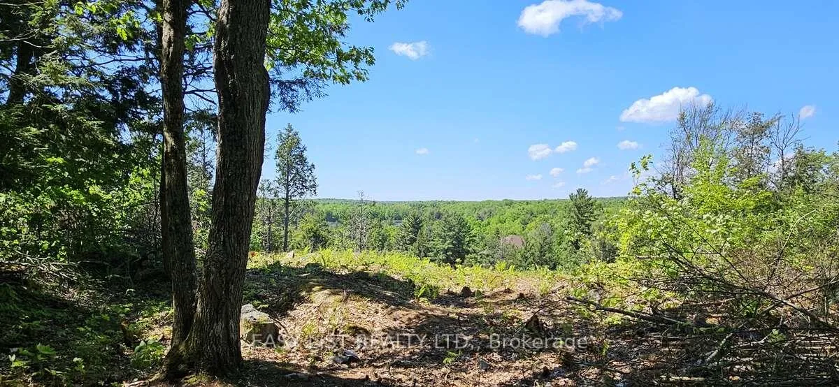 Photo 6 of 26 Fox Farm Road, McKellar — HOMEH