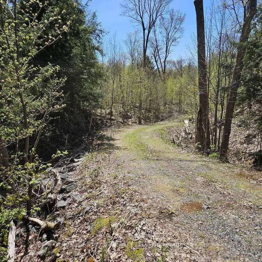 Photo 18 of 26 Fox Farm Road, McKellar — HOMEH