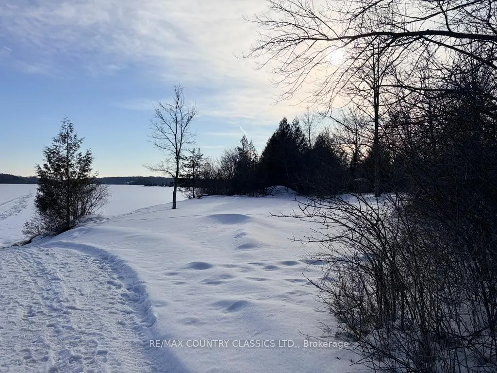 Photo 26 of 4166 Marlbank Road, Tweed, Hungerford (Twp) — HOMEH