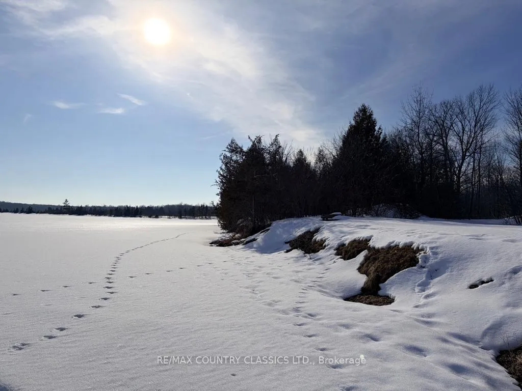 Photo 28 of 4166 Marlbank Road, Tweed, Hungerford (Twp) — HOMEH