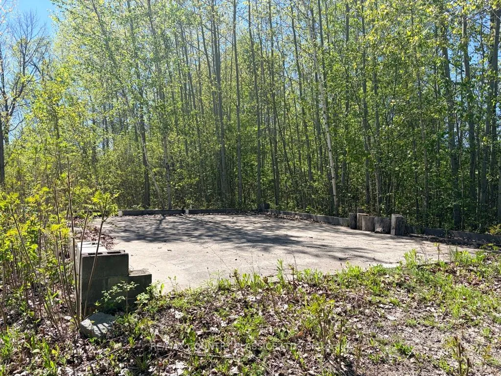 Photo 30 of 4166 Marlbank Road, Tweed, Hungerford (Twp) — HOMEH