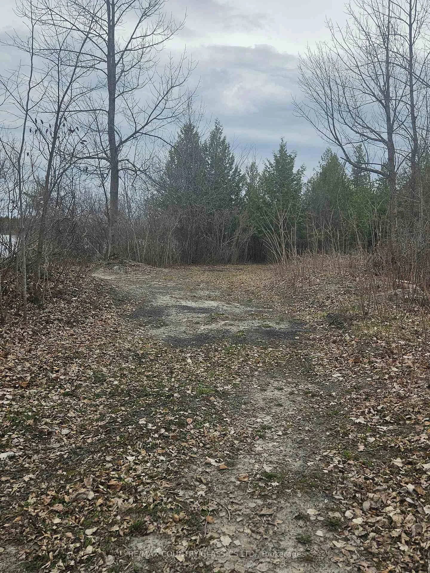 Photo 8 of 4166 Marlbank Road, Tweed, Hungerford (Twp) — HOMEH