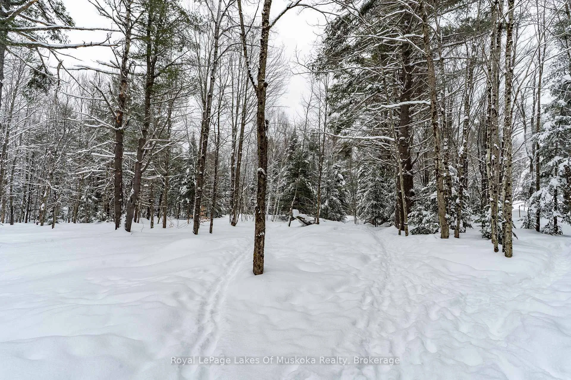 Photo 11 of 1039 Falkenburg Road, Bracebridge, Monck (Bracebridge) — HOMEH
