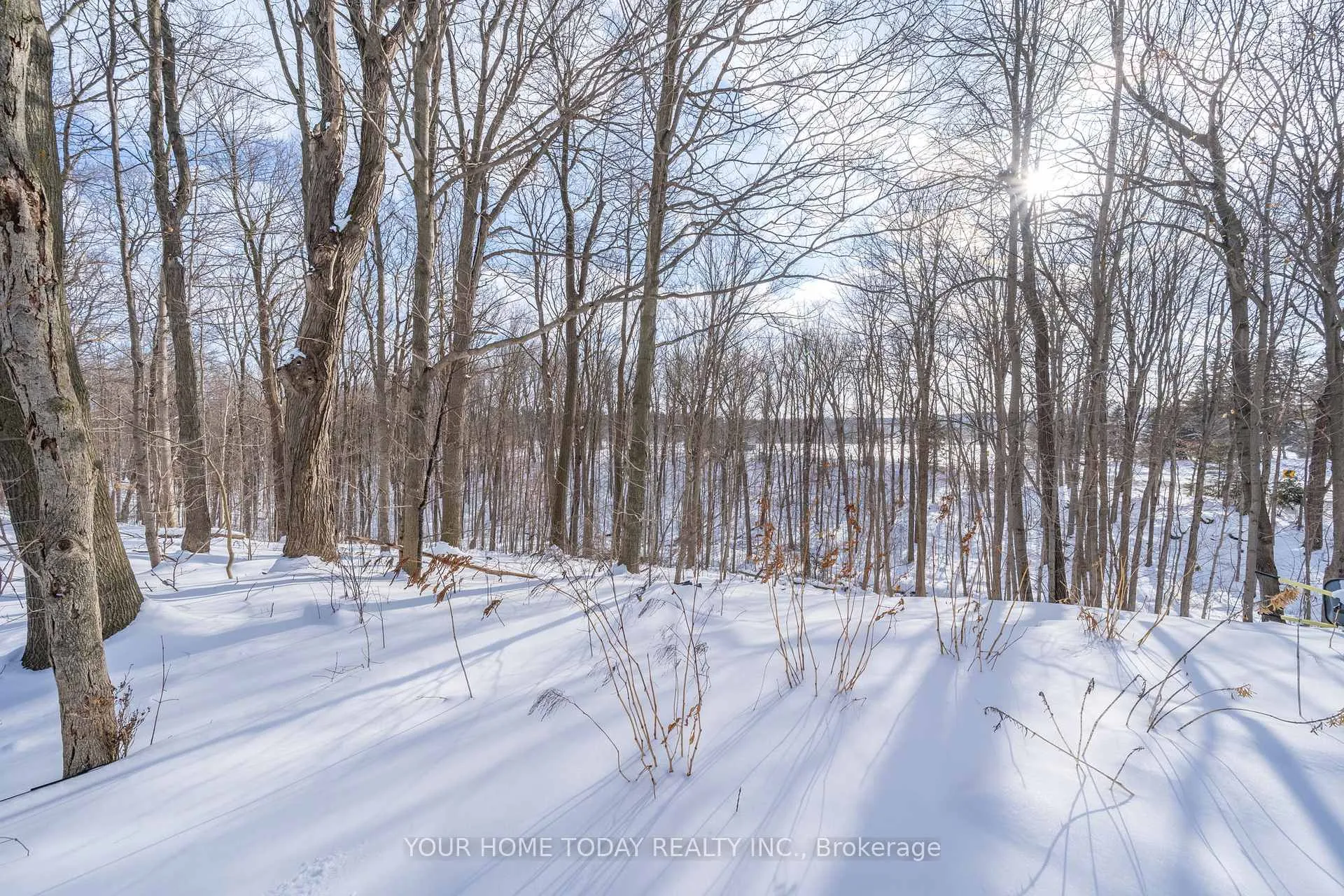 Photo 45 of 10735 Third Line, Halton Hills, Rural Esquesing — HOMEH