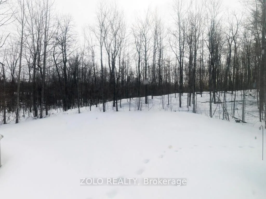 Photo 39 of 1183 Ebbs Bay Road, Drummond/North Elmsley, Drummond N Elmsley (Drummond) Twp — HOMEH