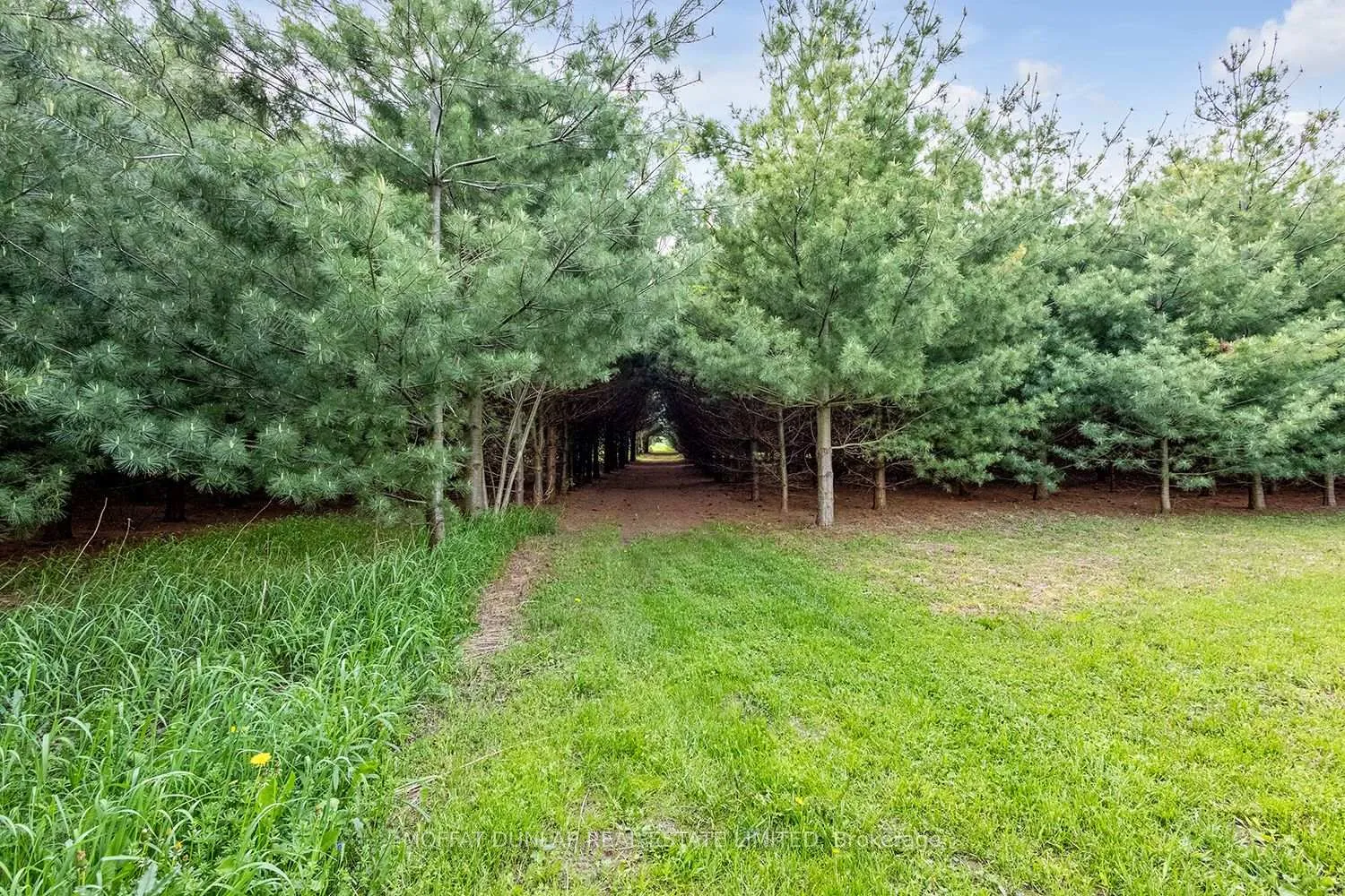 Photo 38 of 2052 Highpoint Side Road, Caledon, Alton — HOMEH
