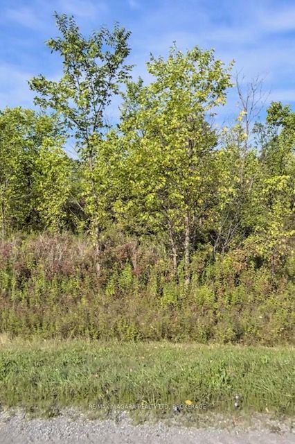 Photo of Lot 5 Montrose Road