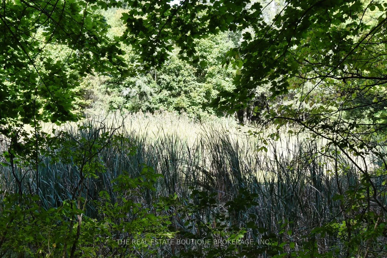 Photo 44 of 1966 Concession 2 W, Hamilton, Rural Flamborough — HOMEH