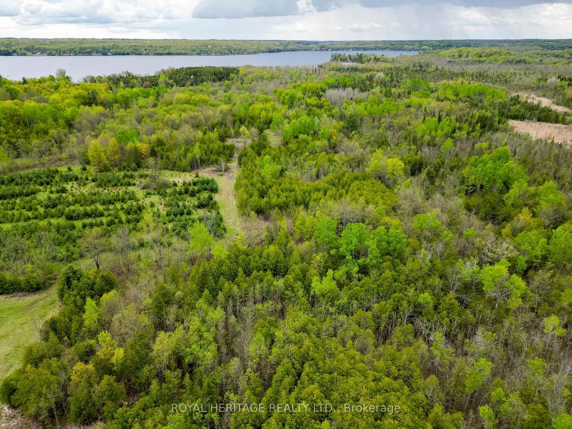 Photo 2 of Lot 14 Acreman Road, Madoc — HOMEH