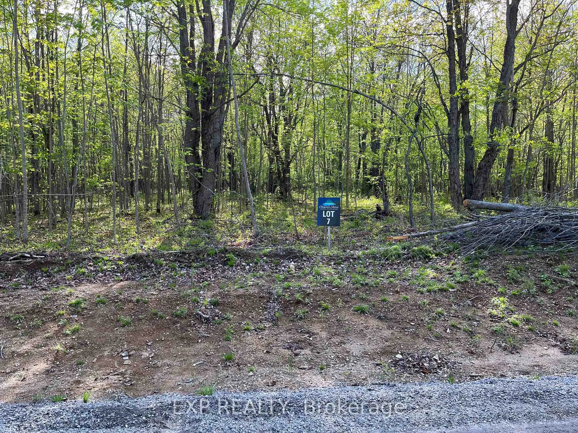 Photo 12 of Lot 7 Casson Trail, Madawaska Valley, Madawaska Valley — HOMEH