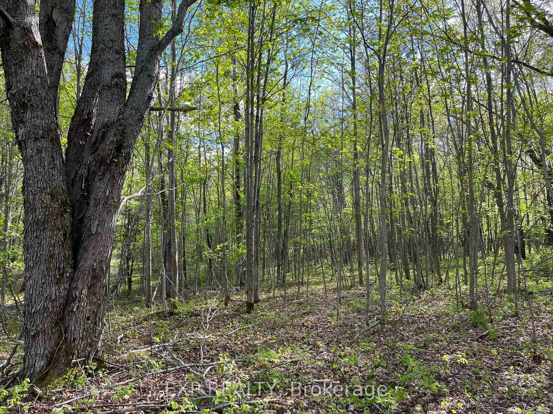 Photo 13 of Lot 7 Casson Trail, Madawaska Valley, Madawaska Valley — HOMEH
