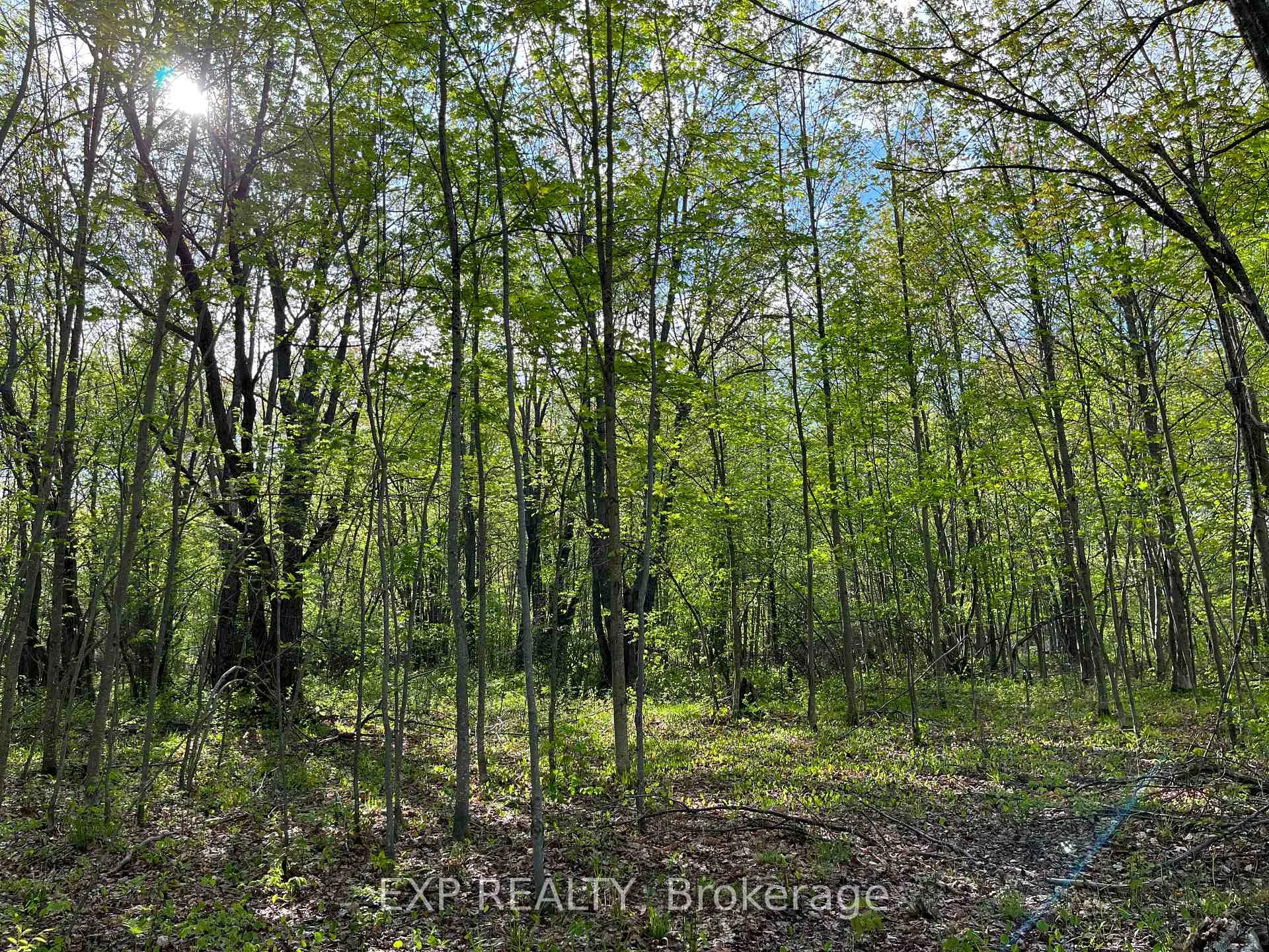 Photo 2 of Lot 7 Casson Trail, Madawaska Valley, Madawaska Valley — HOMEH