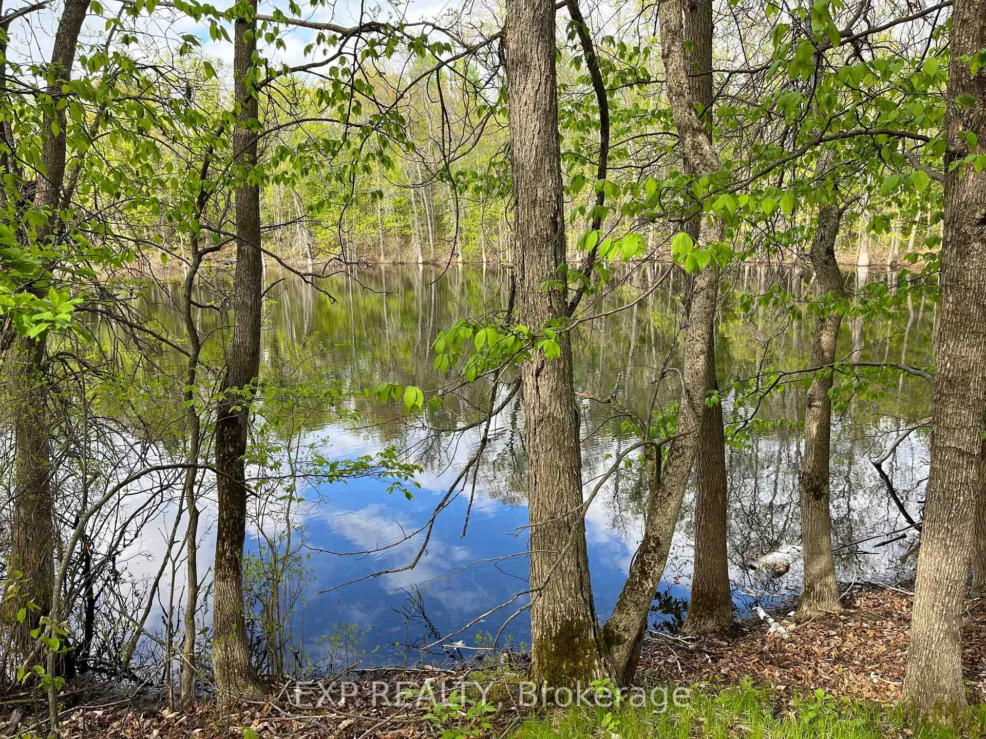 Photo 4 of Lot 7 Casson Trail, Madawaska Valley, Madawaska Valley — HOMEH