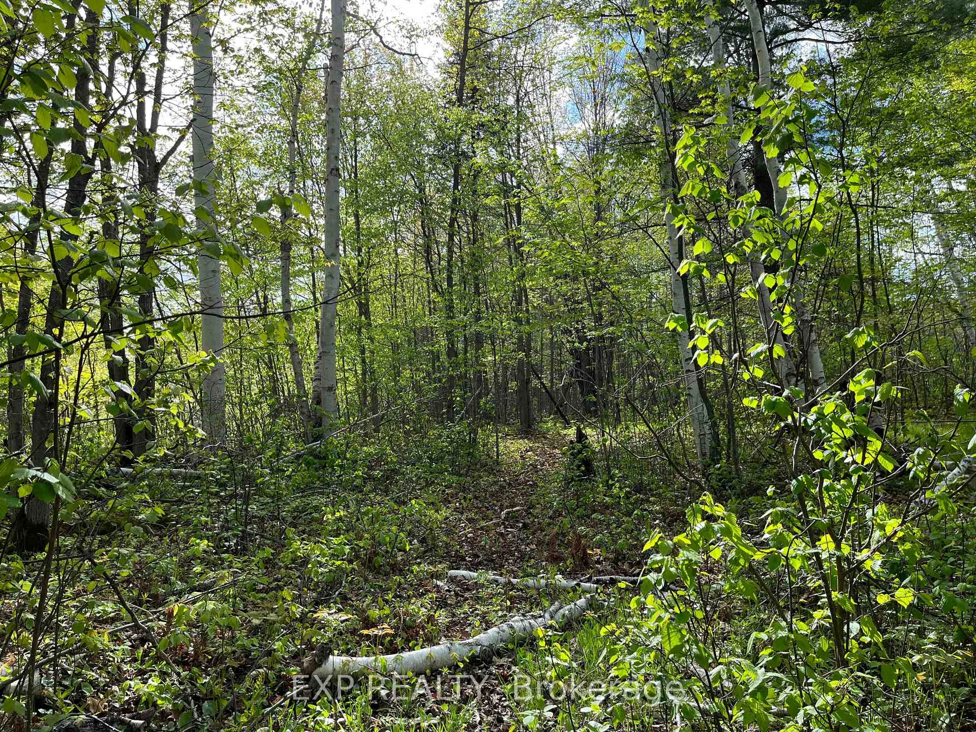 Photo 5 of Lot 7 Casson Trail, Madawaska Valley, Madawaska Valley — HOMEH