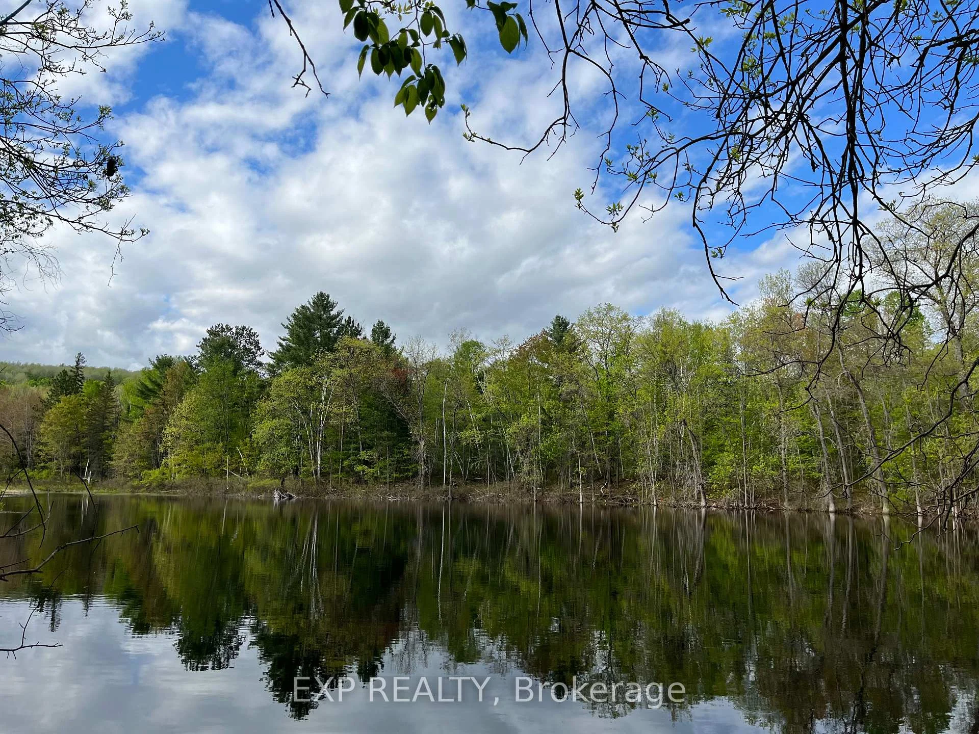Photo 7 of Lot 7 Casson Trail, Madawaska Valley, Madawaska Valley — HOMEH