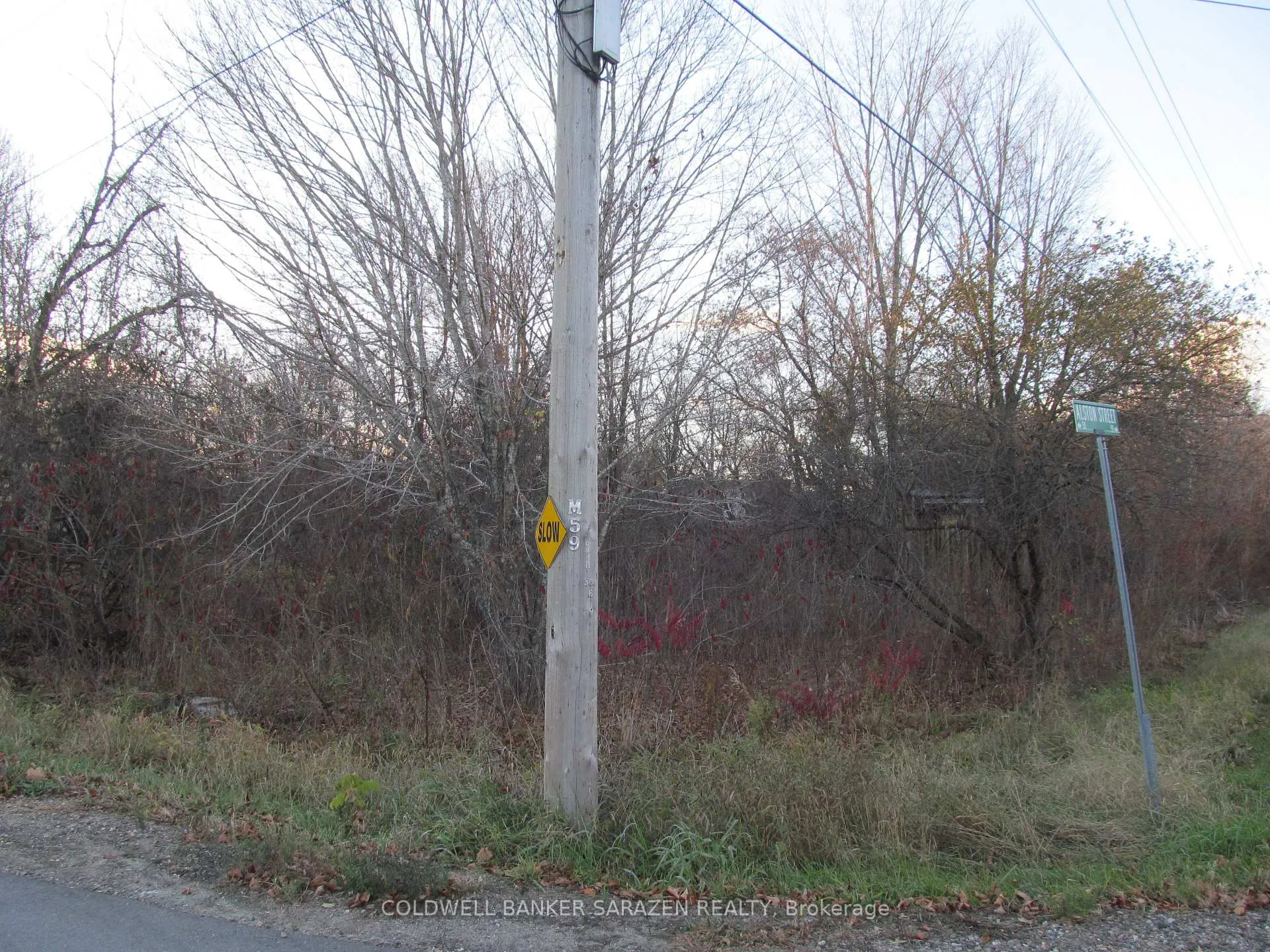 Photo 2 of Fisher Street N, McNab/Braeside, Mcnab/Braeside Twps — HOMEH
