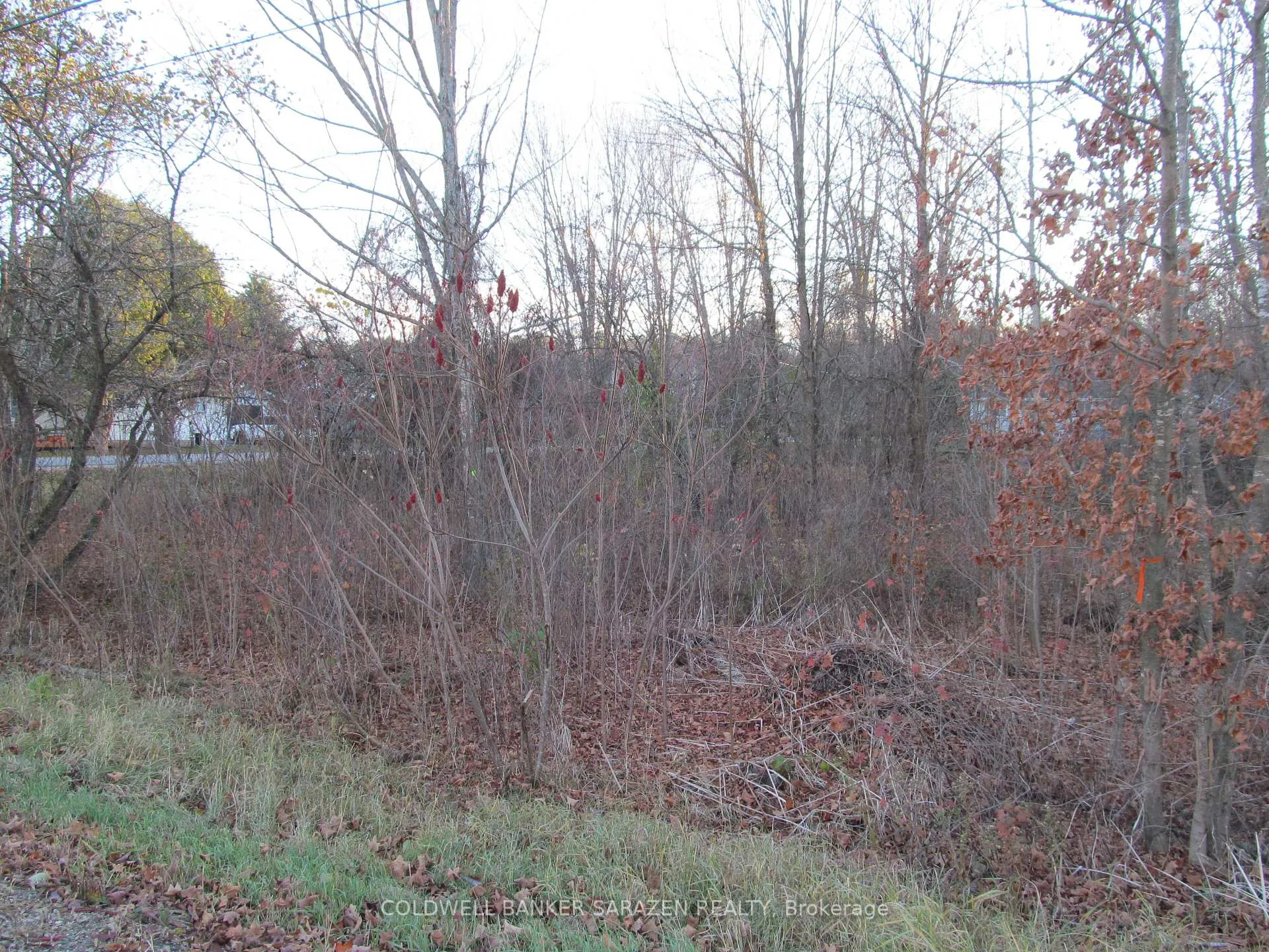 Photo 3 of Fisher Street N, McNab/Braeside, Mcnab/Braeside Twps — HOMEH