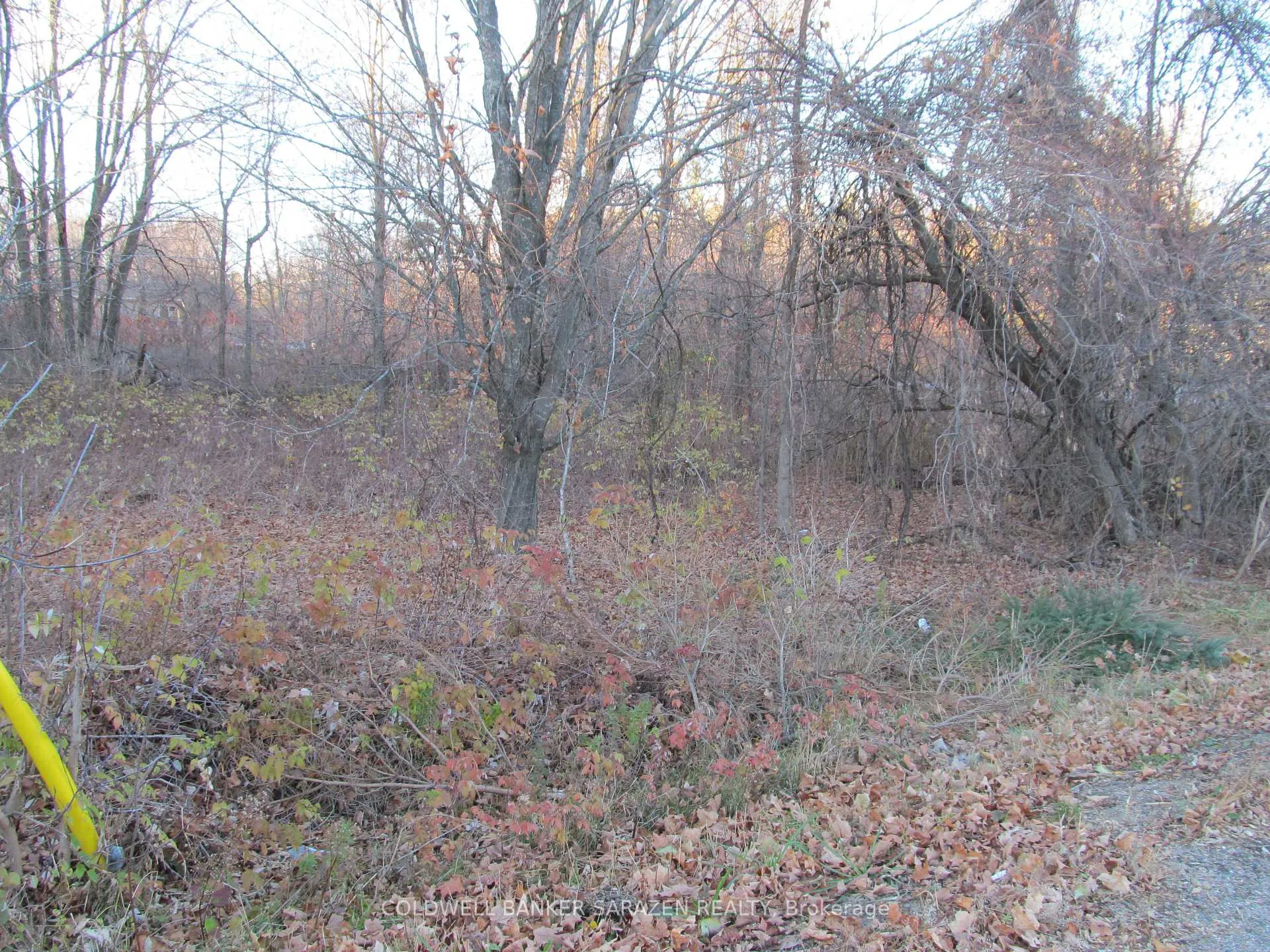 Photo 4 of Fisher Street N, McNab/Braeside, Mcnab/Braeside Twps — HOMEH