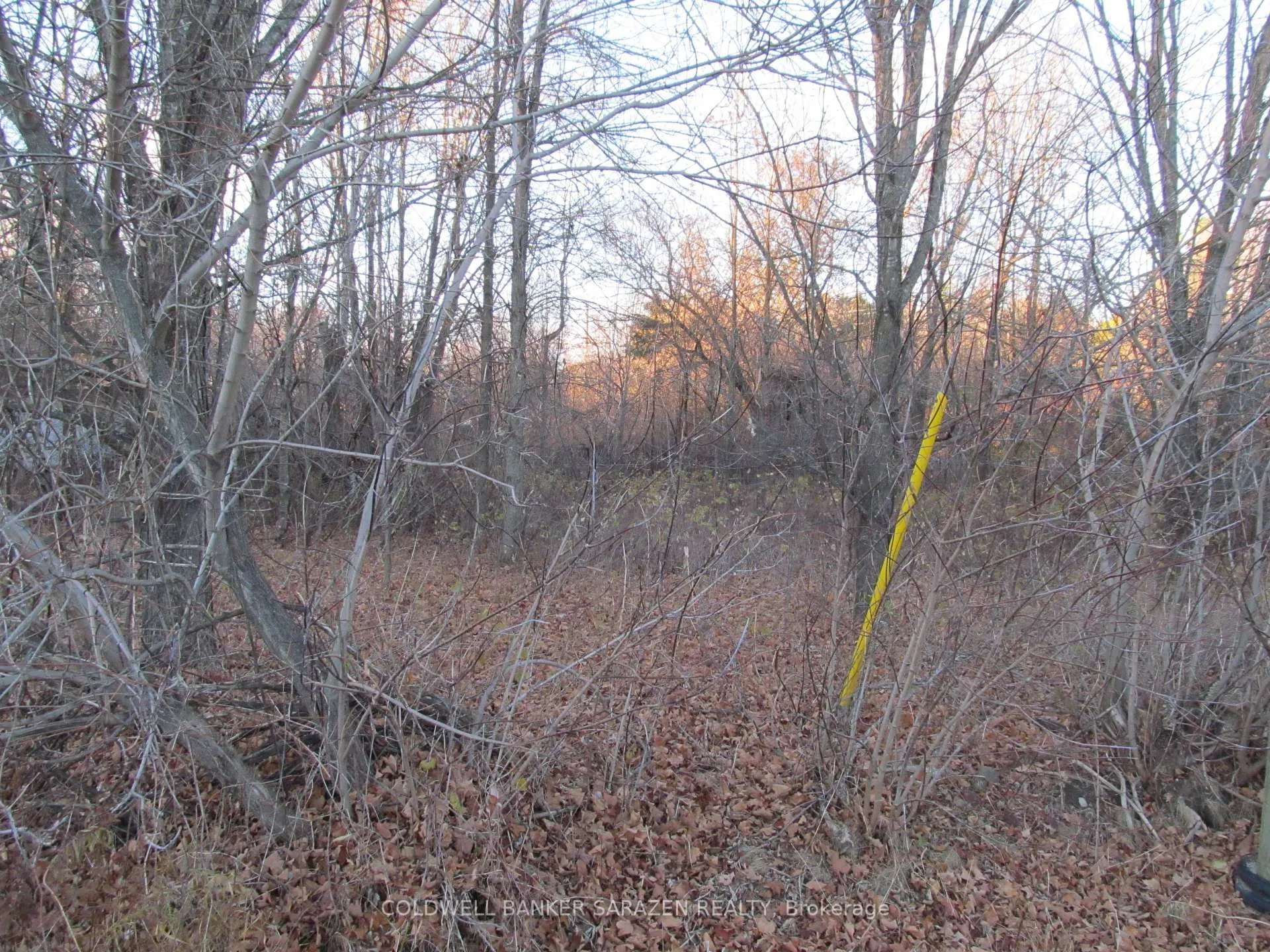 Photo 5 of Fisher Street N, McNab/Braeside, Mcnab/Braeside Twps — HOMEH