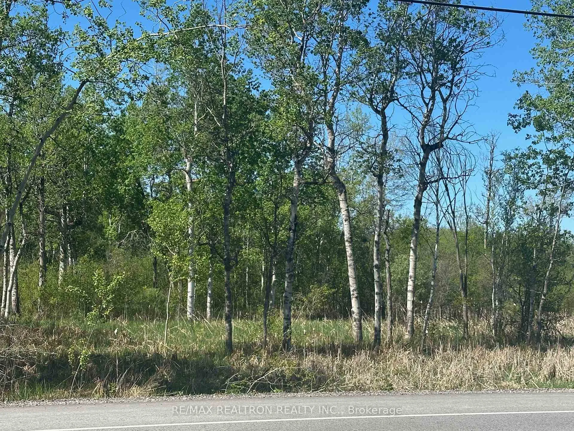Photo of CON 7 PT LT 1 Ravenshoe Road