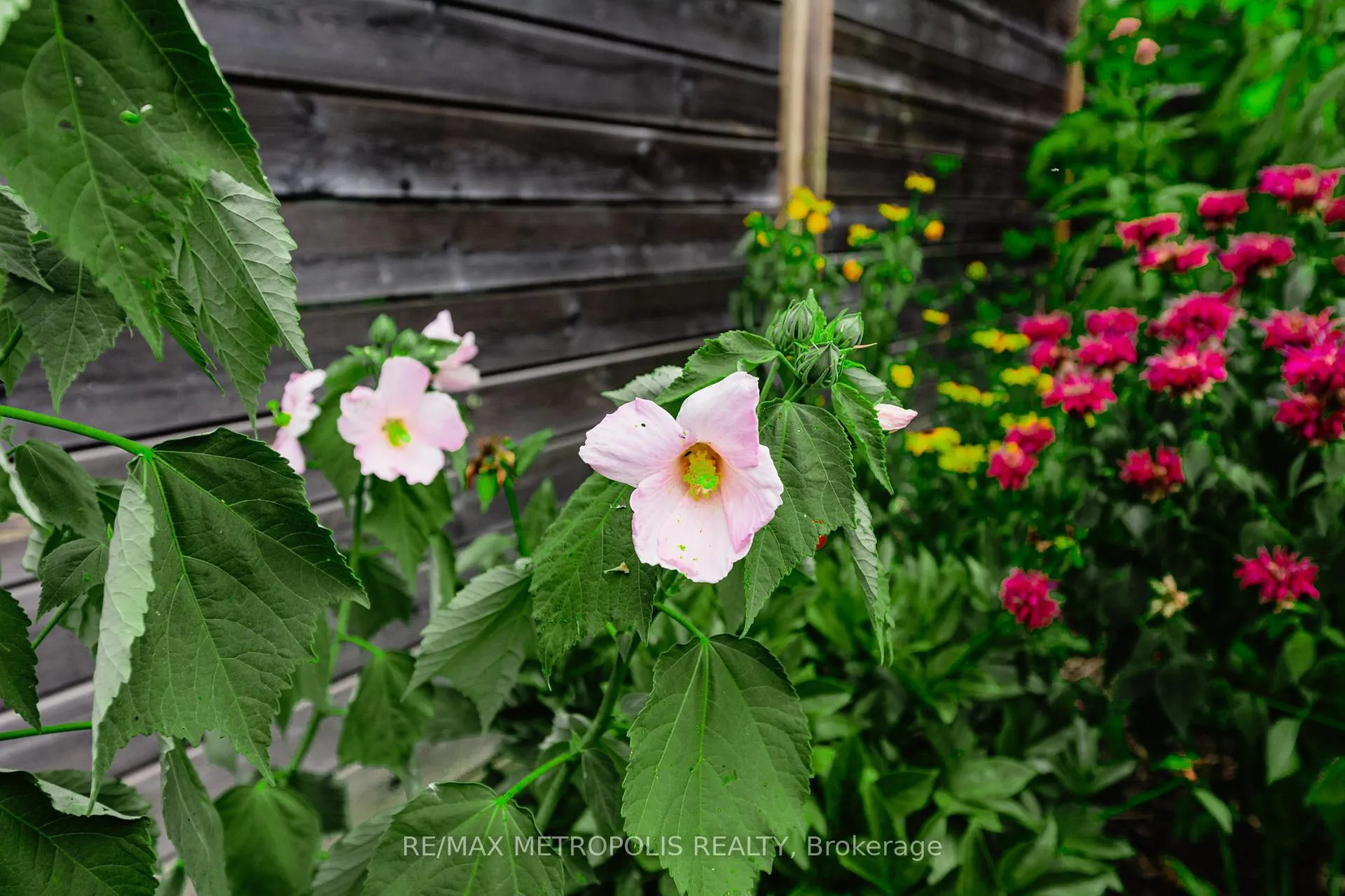 Photo 15 of 7 Cherry Lane, New Tecumseth, Rural New Tecumseth — HOMEH