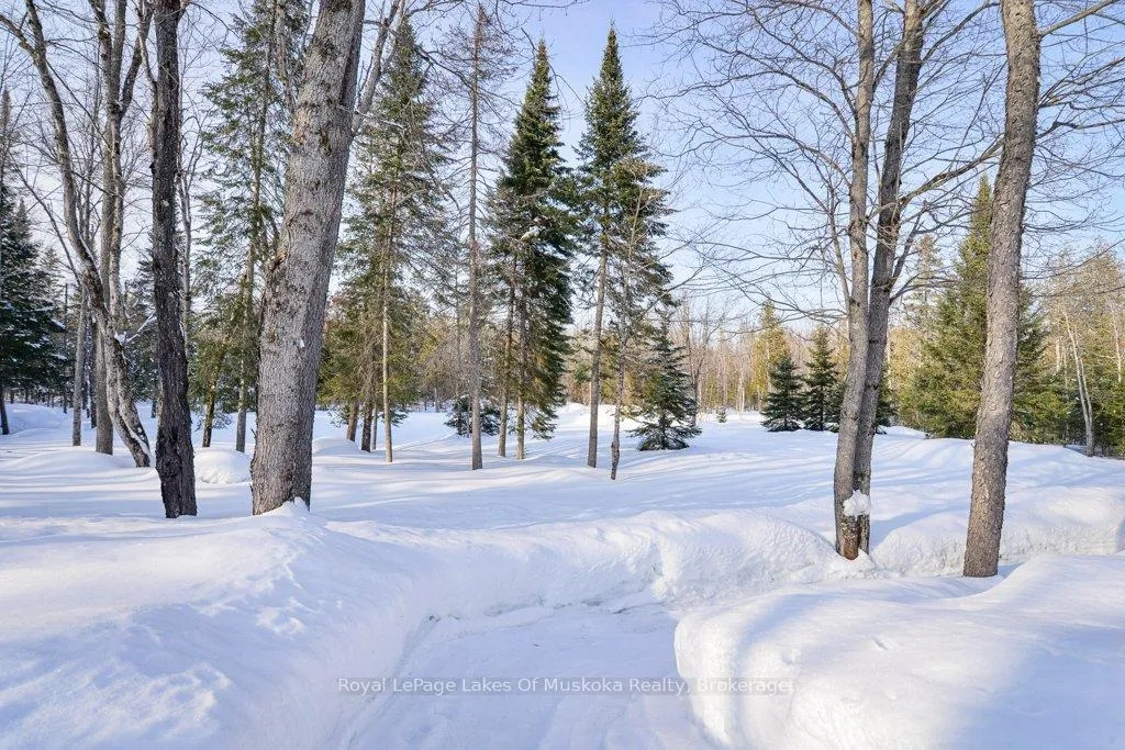 Photo 40 of 2411 Hwy. 118 E., Bracebridge, Draper — HOMEH
