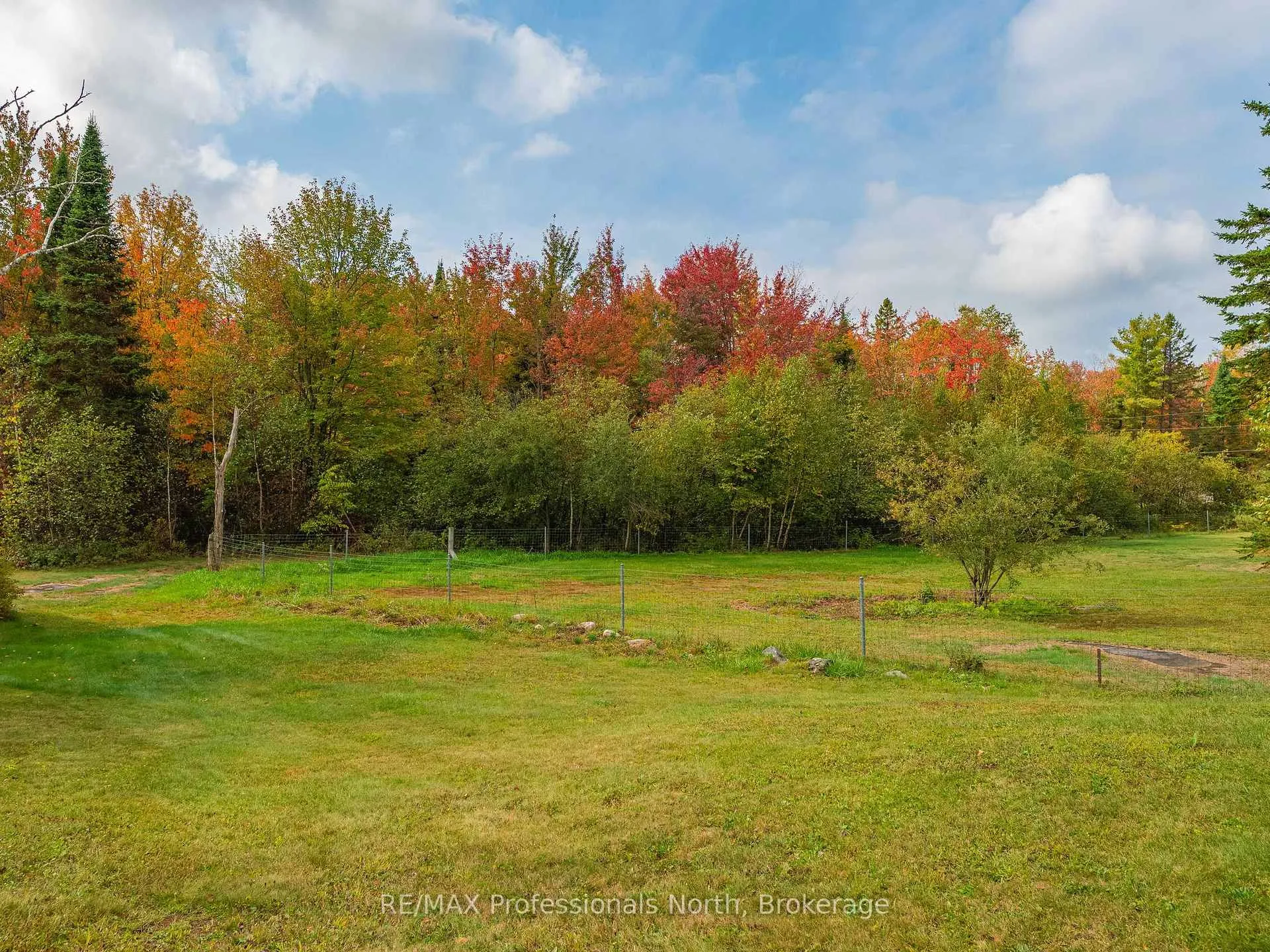 Photo 31 of 1110 Sedgwick Road, Minden Hills, Snowdon — HOMEH