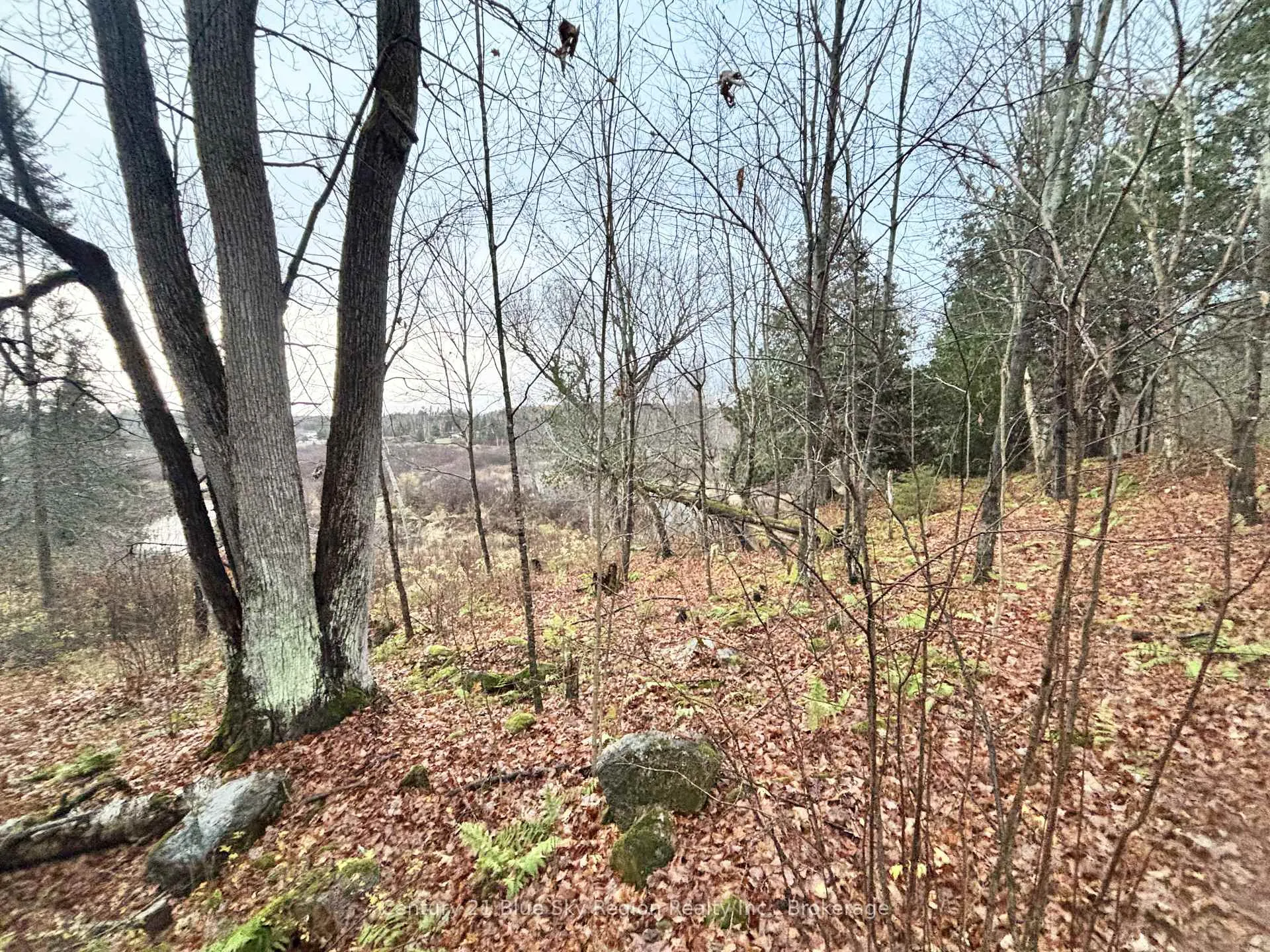 Photo 15 of 167-179 Lake Nosbonsing Road, Callander — HOMEH