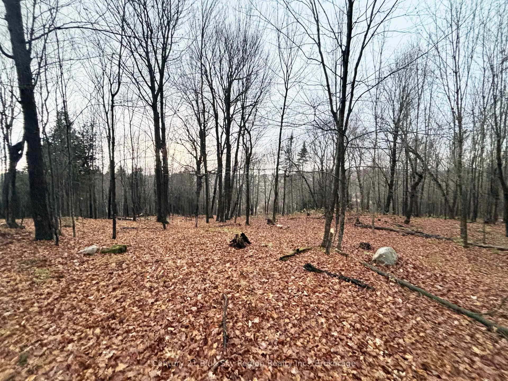 Photo 16 of 167-179 Lake Nosbonsing Road, Callander — HOMEH