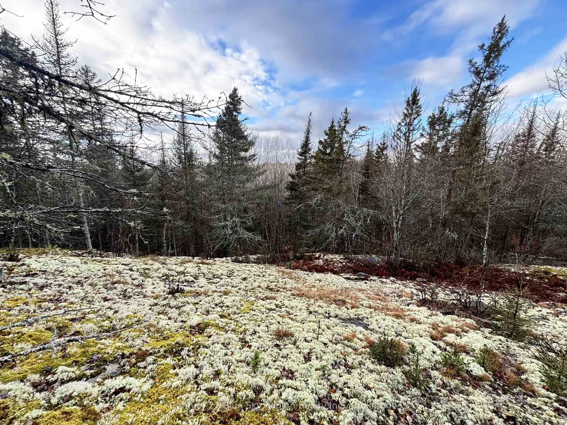 Photo 17 of 167-179 Lake Nosbonsing Road, Callander — HOMEH