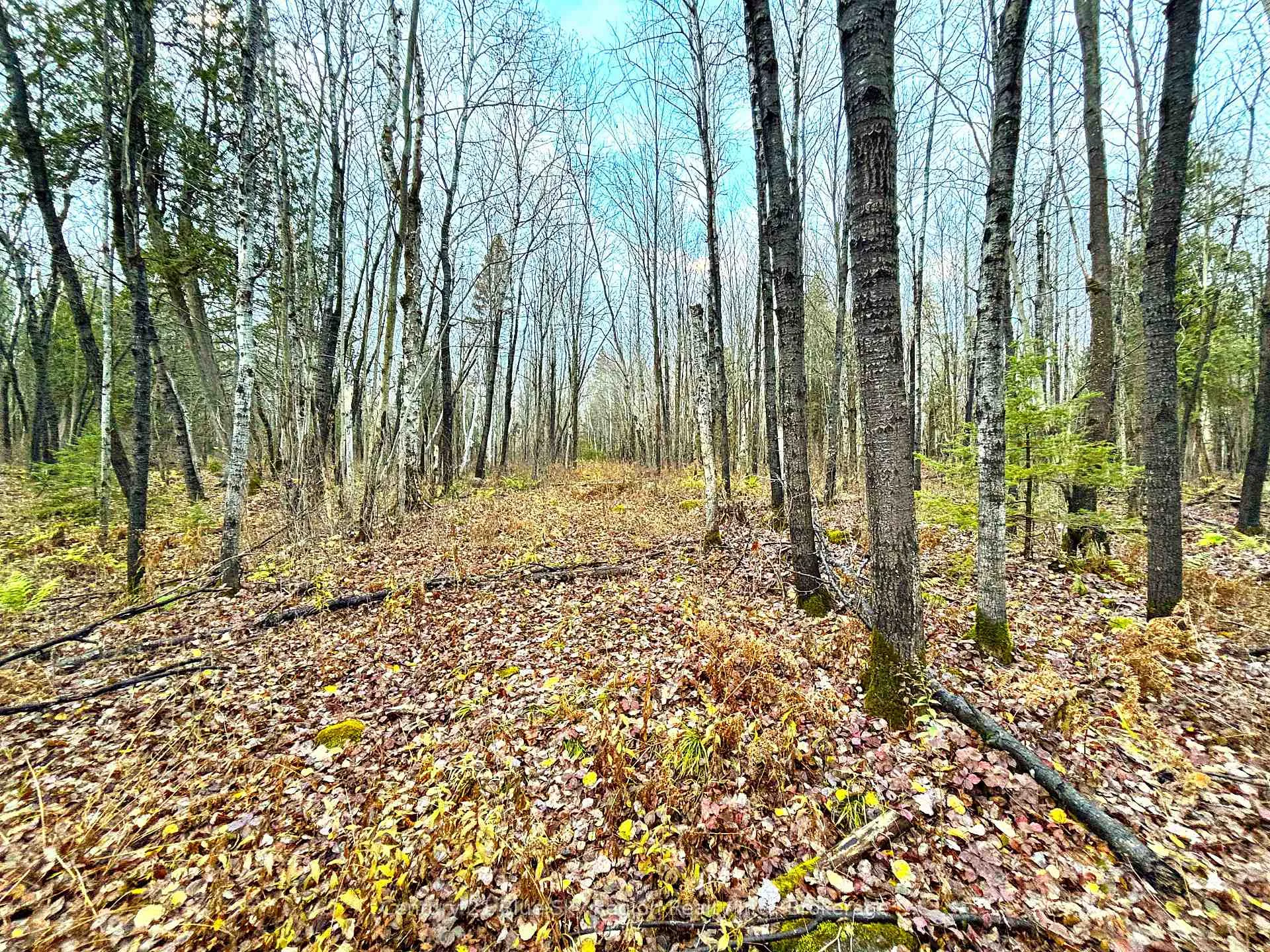 Photo 45 of 167-179 Lake Nosbonsing Road, Callander — HOMEH
