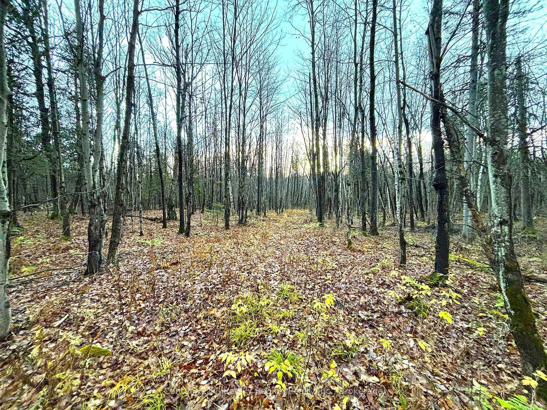 Photo 46 of 167-179 Lake Nosbonsing Road, Callander — HOMEH