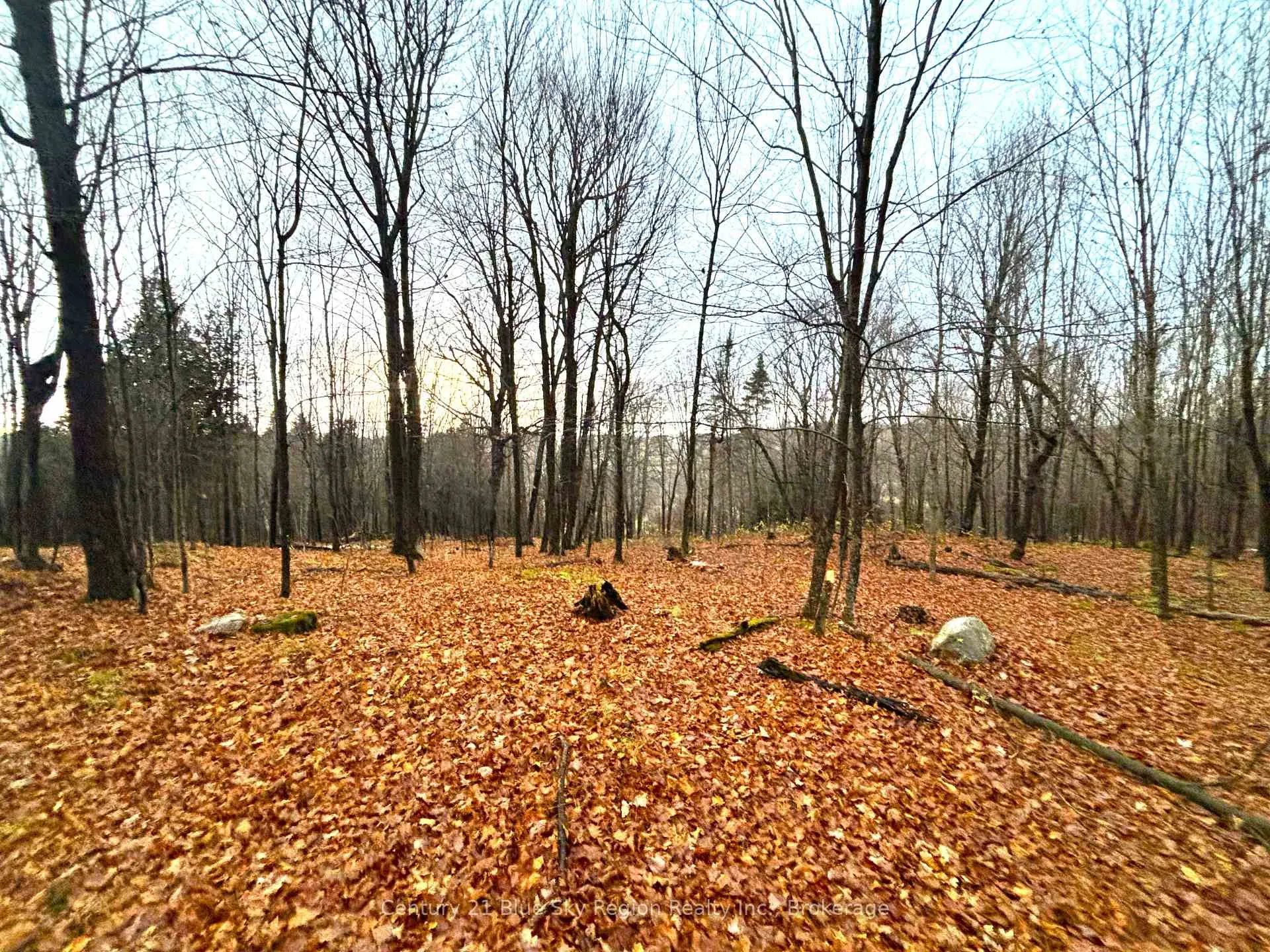 Photo 47 of 167-179 Lake Nosbonsing Road, Callander — HOMEH