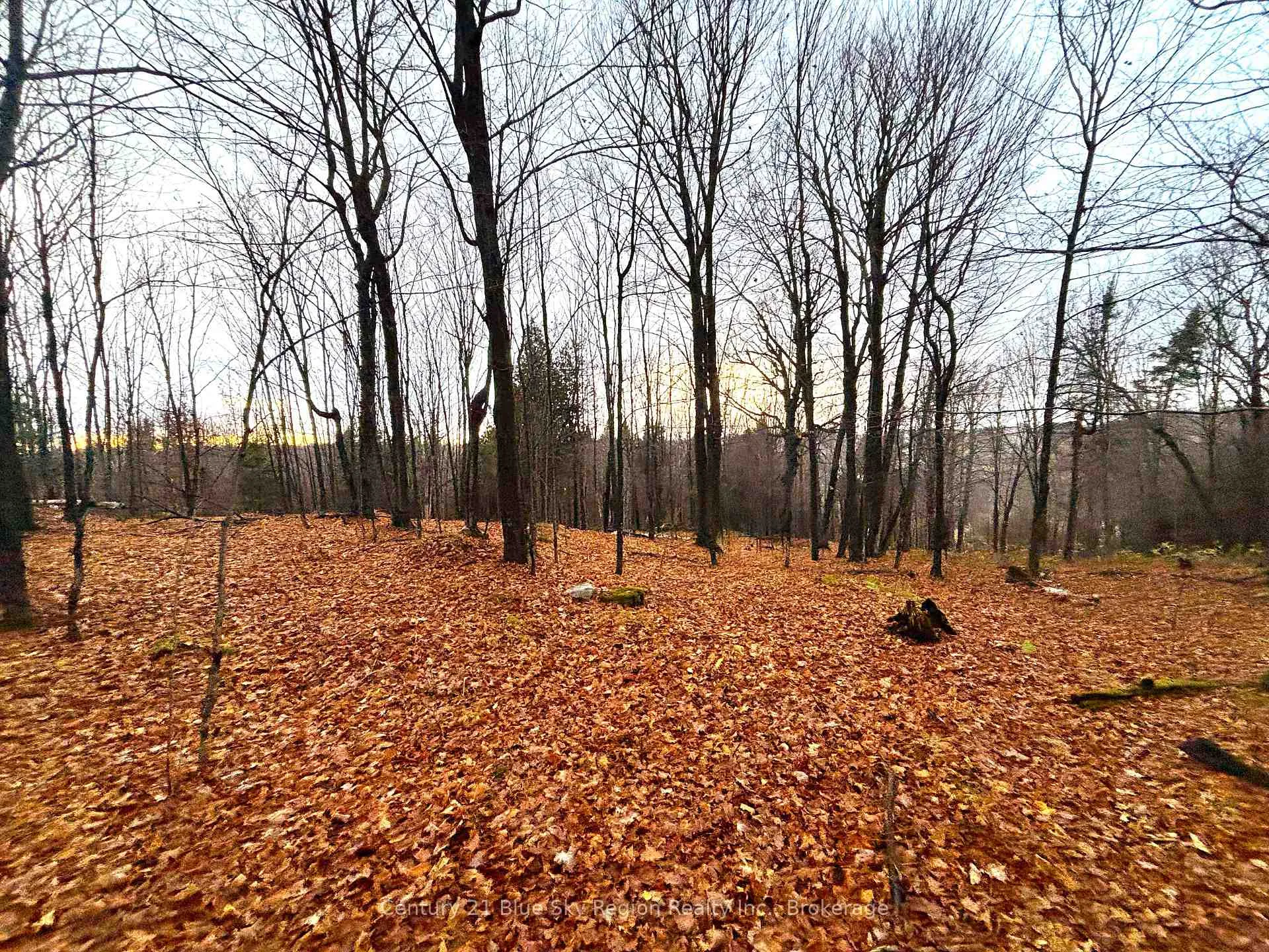 Photo 48 of 167-179 Lake Nosbonsing Road, Callander — HOMEH