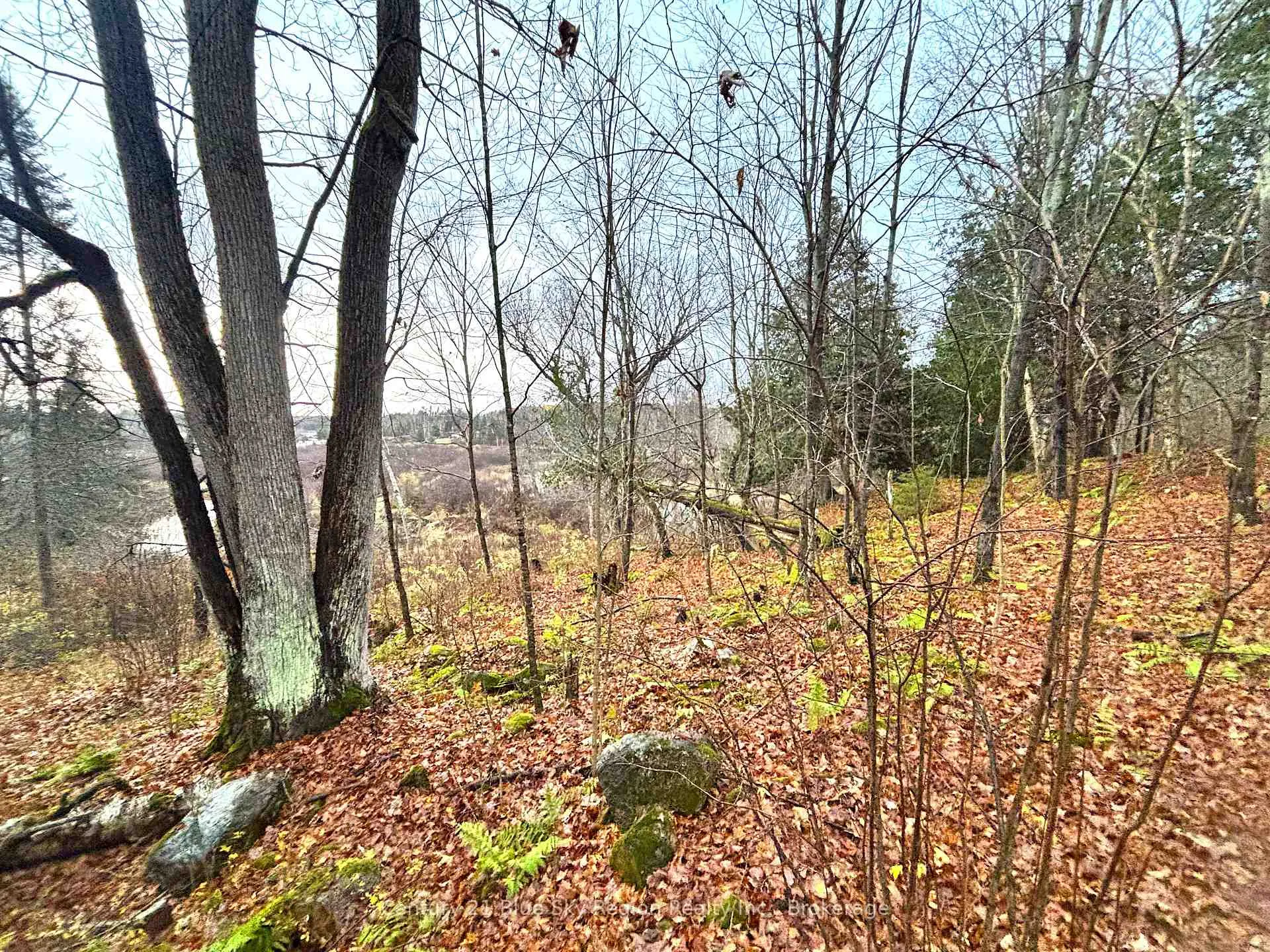 Photo 49 of 167-179 Lake Nosbonsing Road, Callander — HOMEH