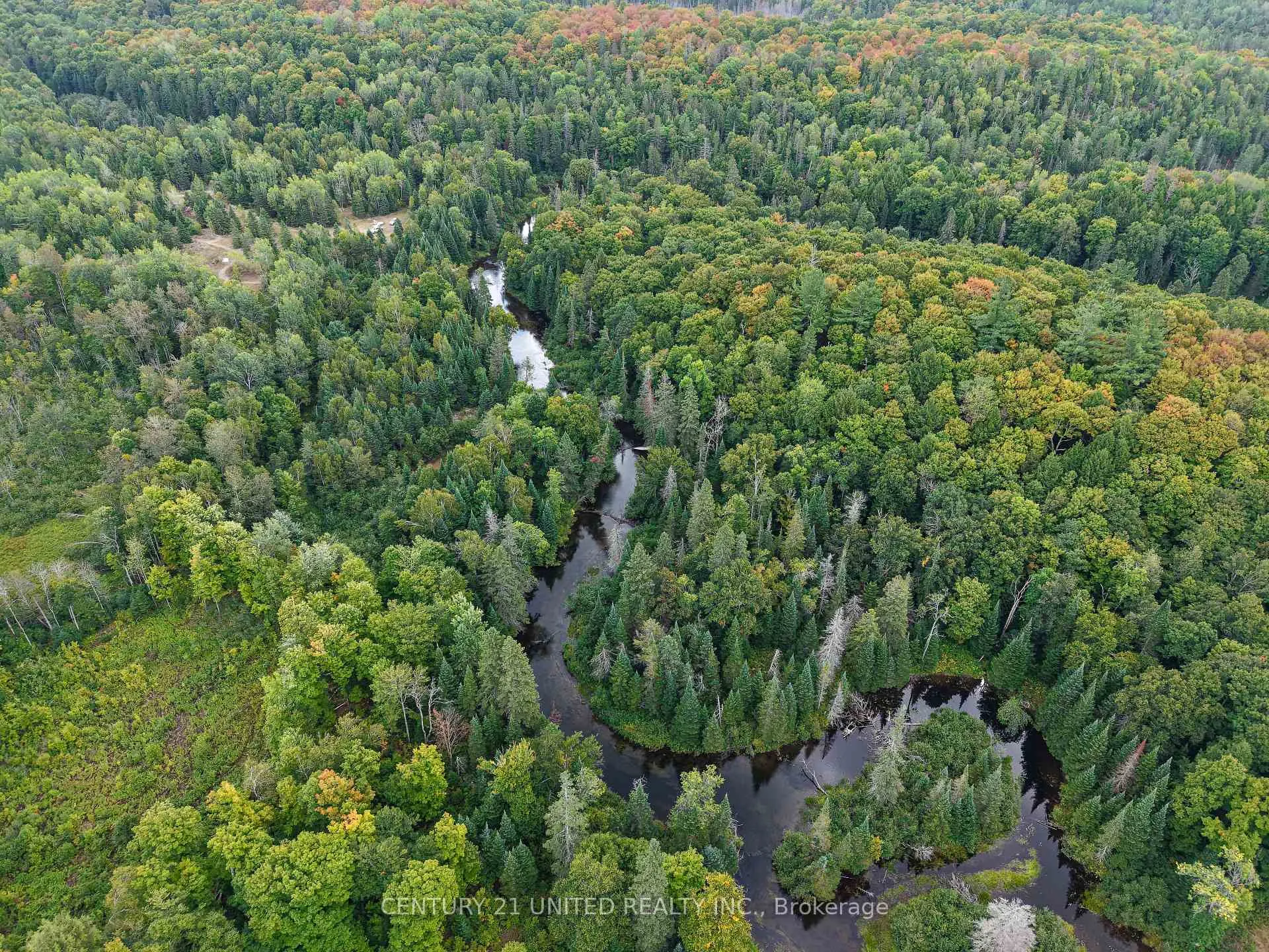 Photo 6 of 428 Jeff Road, North Kawartha — HOMEH