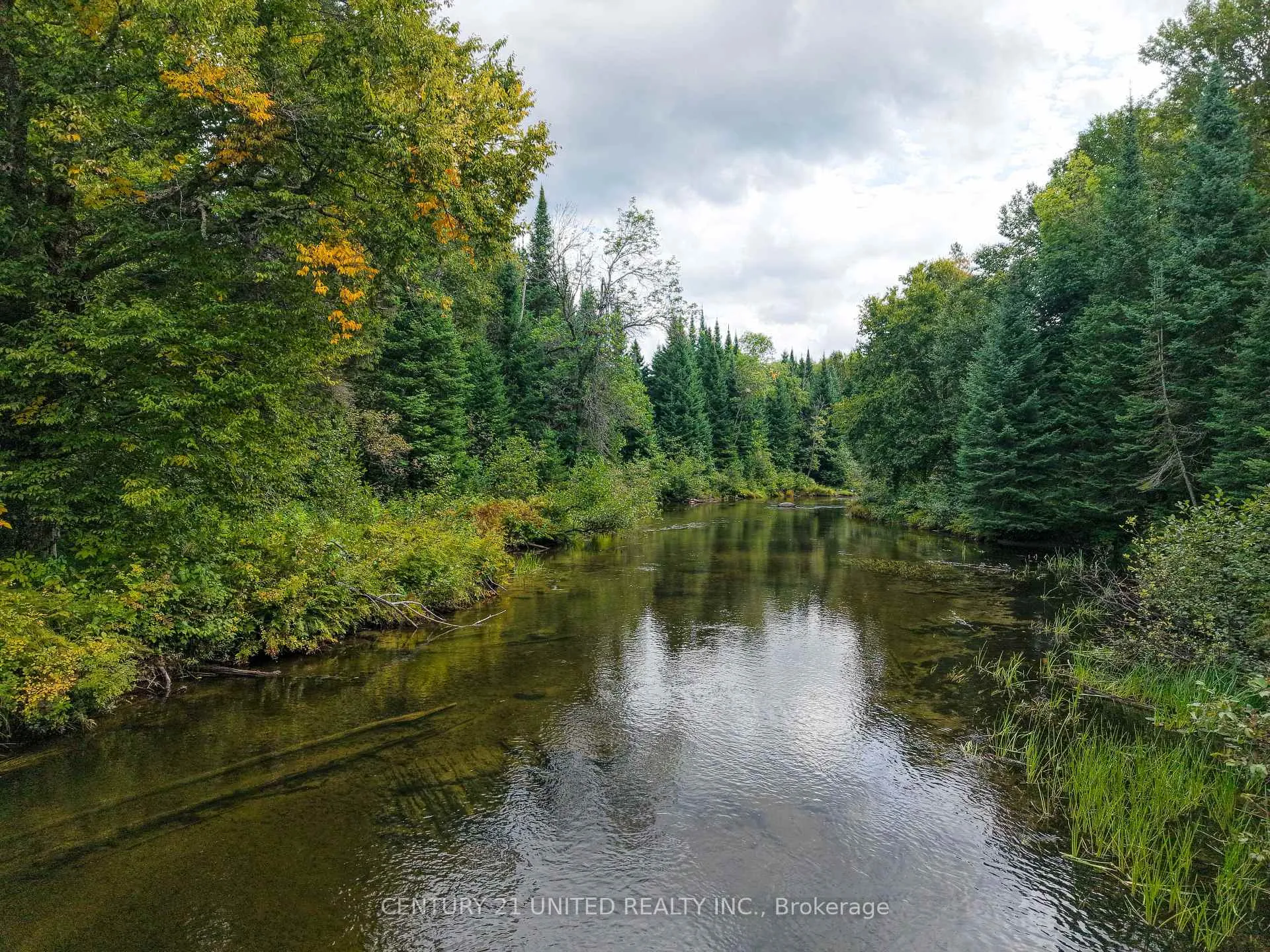 Photo 7 of 428 Jeff Road, North Kawartha — HOMEH