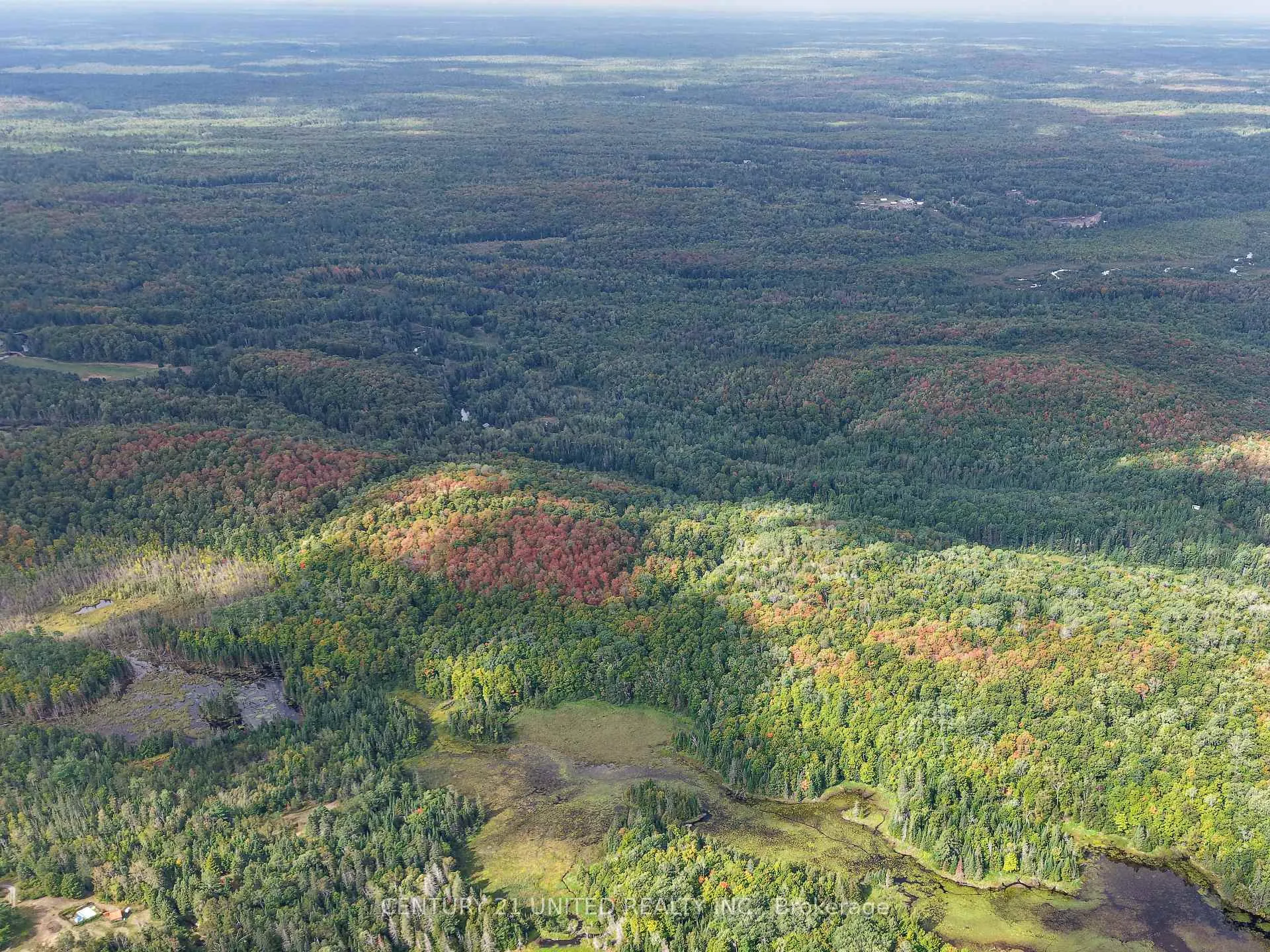 Photo 9 of 428 Jeff Road, North Kawartha — HOMEH