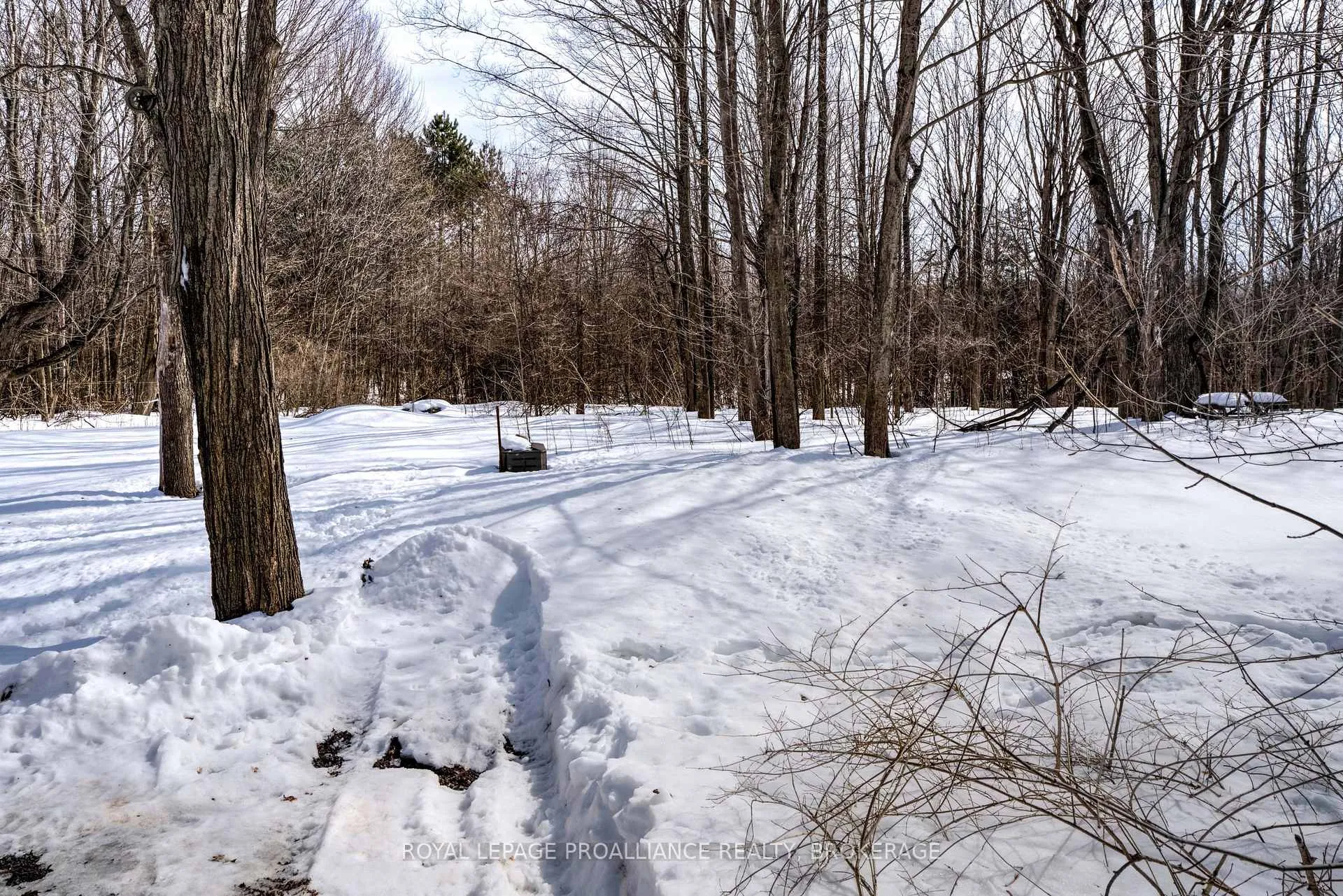 Photo 46 of 9889 Perth Road, Rideau Lakes, Rideau Lakes (North Crosby) Twp — HOMEH