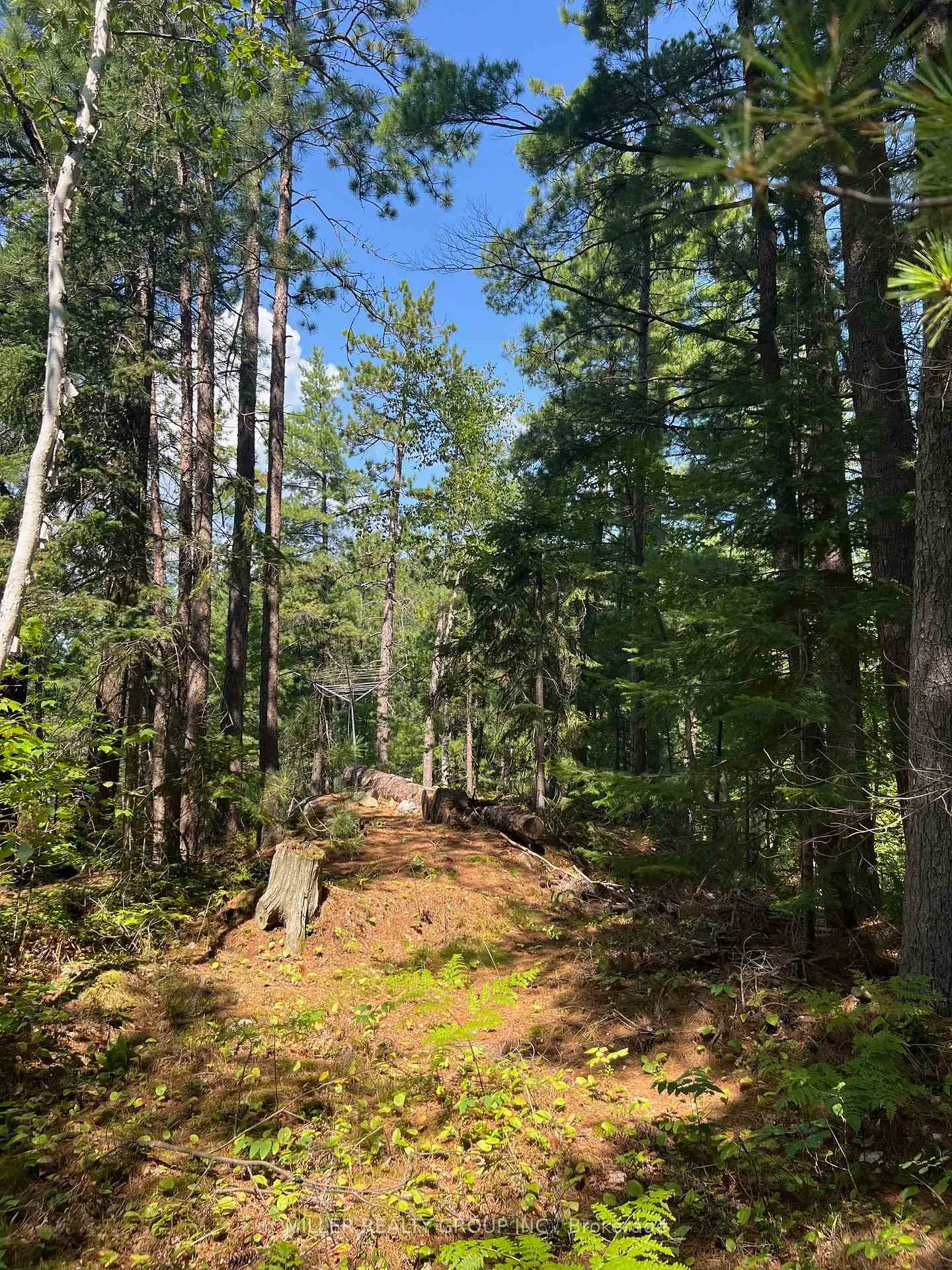 Photo 11 of 1093 Lake Temagami, Temagami — HOMEH