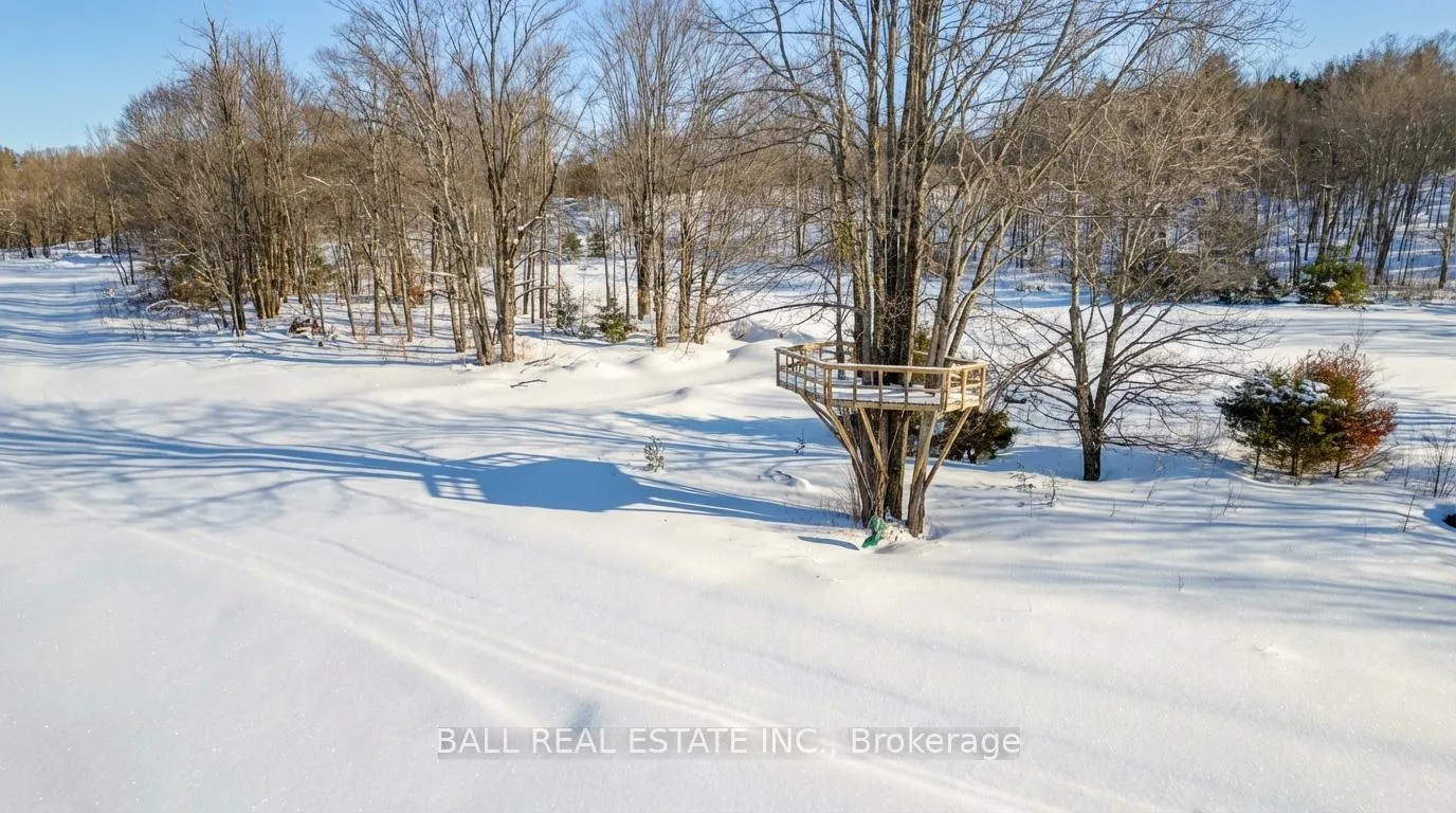 Photo 8 of 186 Lasswade Road, North Kawartha — HOMEH