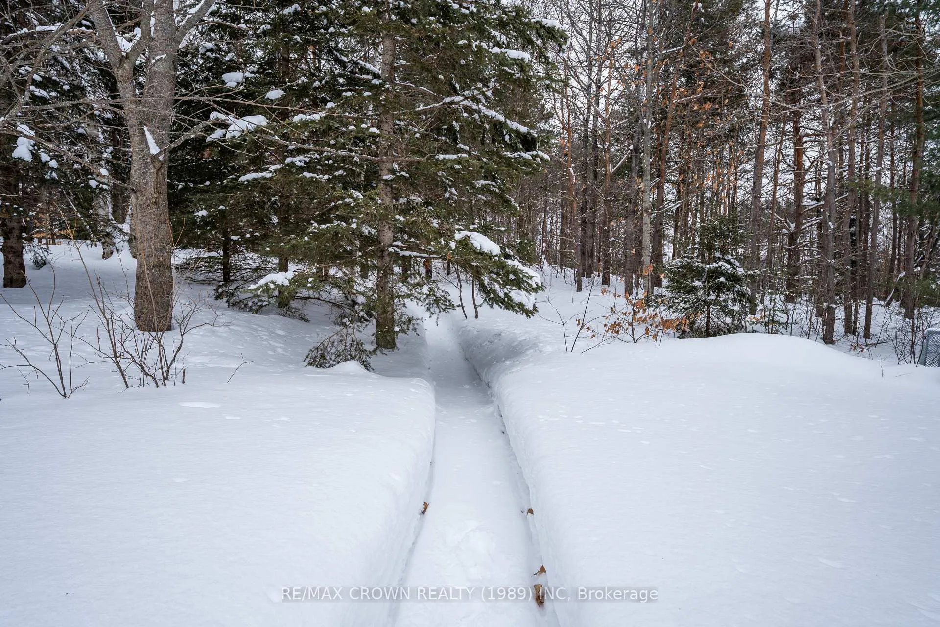 Photo 43 of 32 Edgar Street, Sundridge — HOMEH
