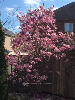 Photo 43 of 84 Nova Scotia Road, Brampton, Bram West — HOMEH